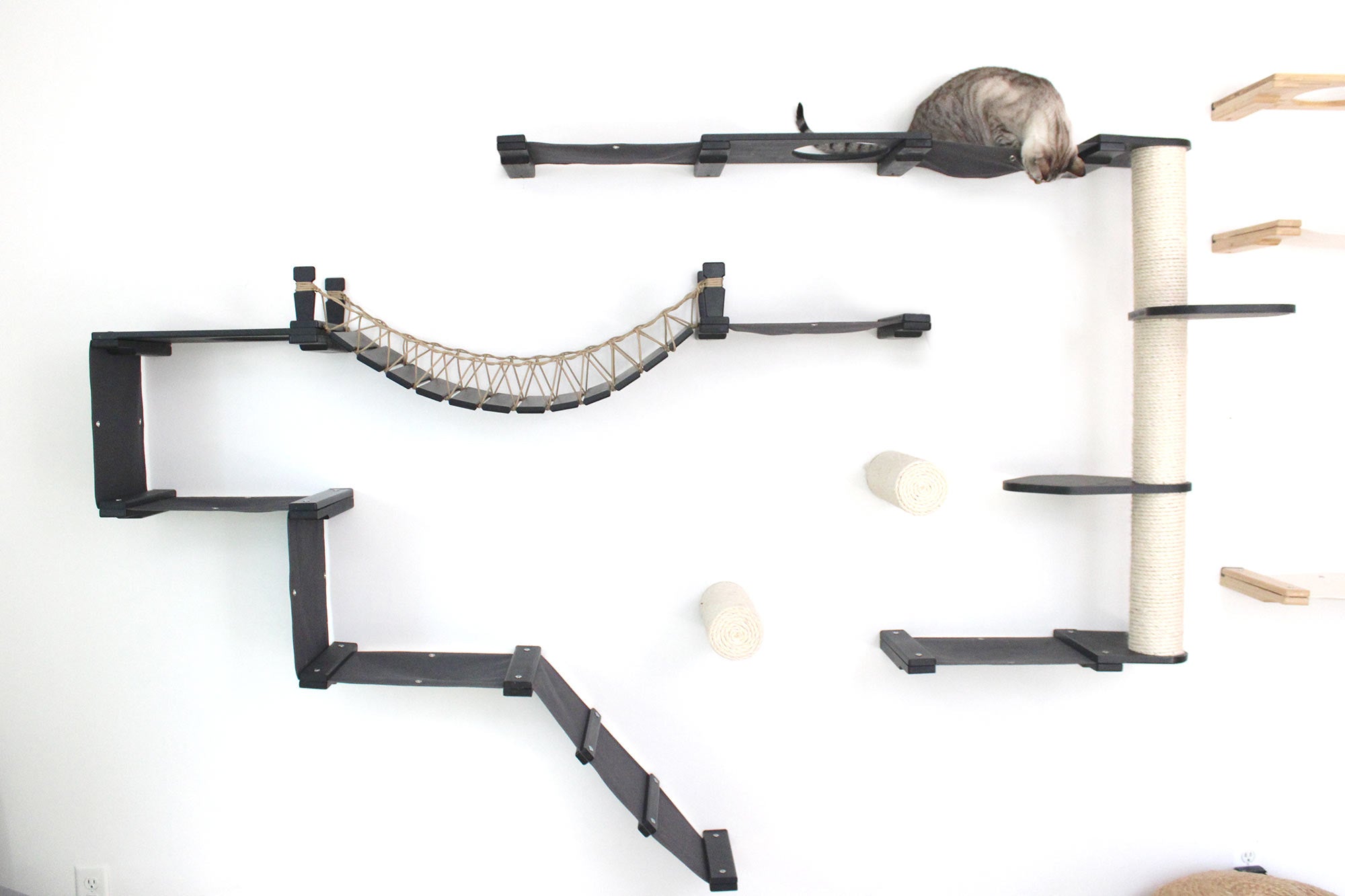 The Juggernaut (Wall-Mounted Cat Tree/Condo) - by Catastrophic Creations