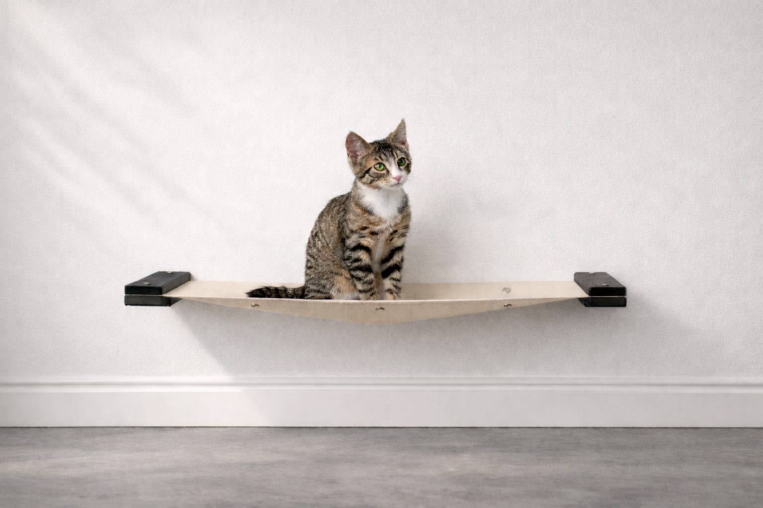 Cat Wall Hammock - Hanging Cat Beds - by Catastrophic Creations