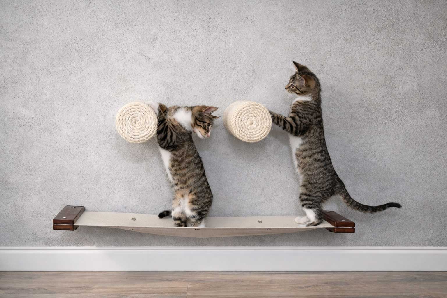 Cat Wall Hammock - Hanging Cat Beds - by Catastrophic Creations