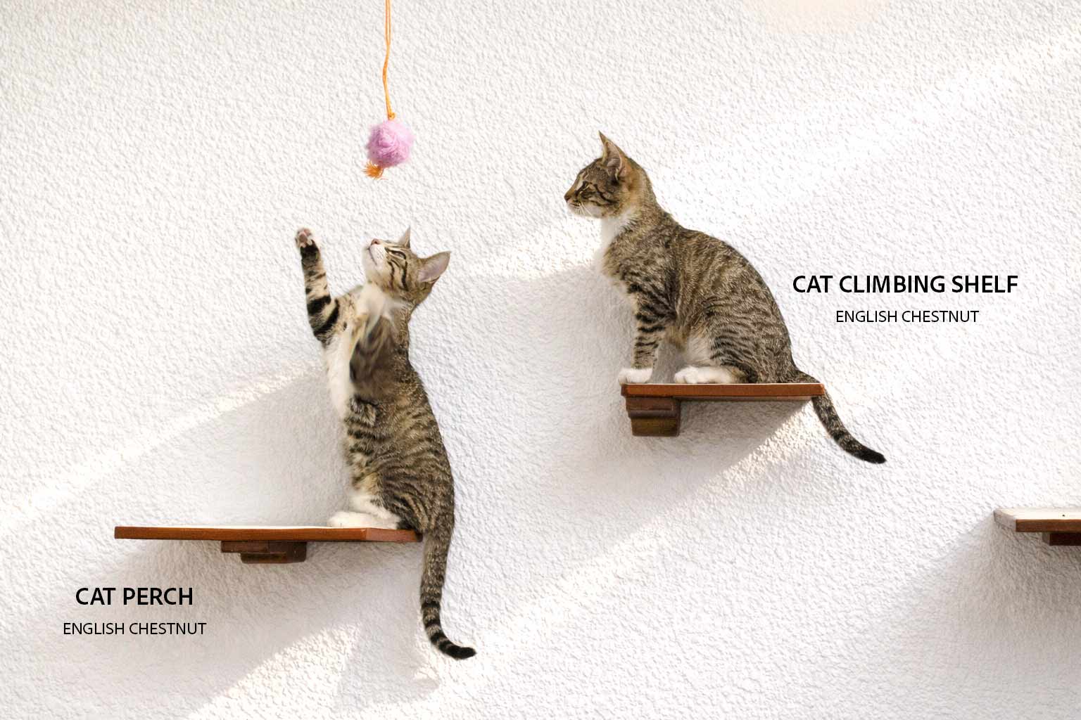 Cat Climbing Shelf - by Catastrophic Creations