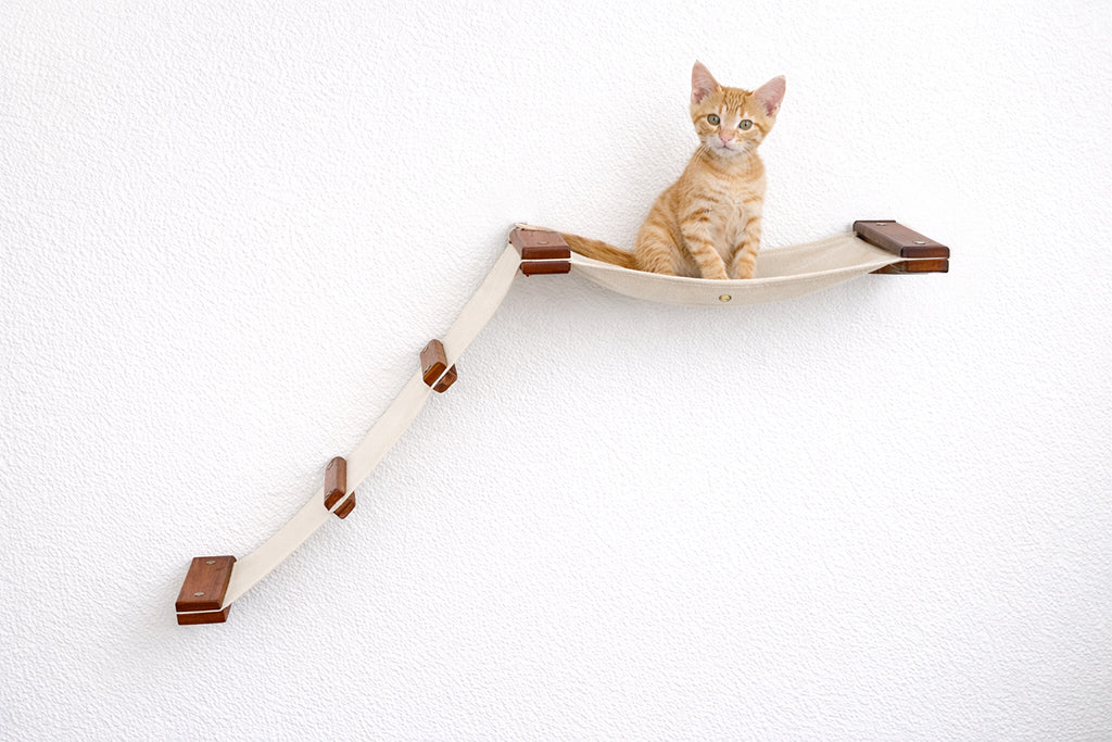 The Lift: Cat Wall Ramp with Hammock Bed - by Catastrophic Creations