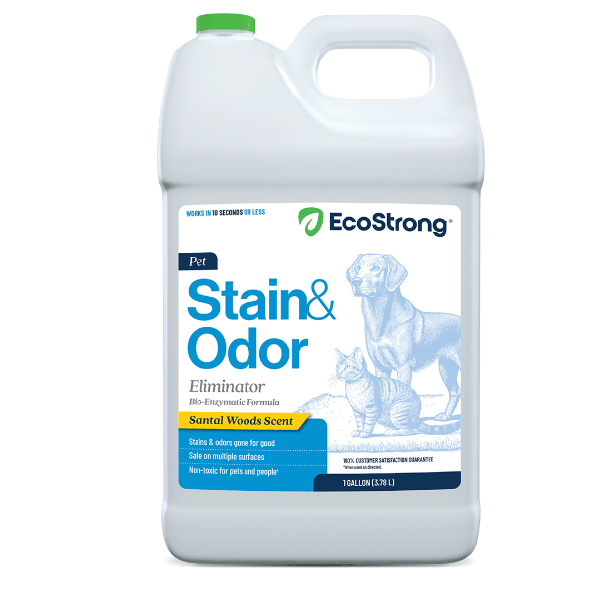 Pet Stain and Odor Eliminator