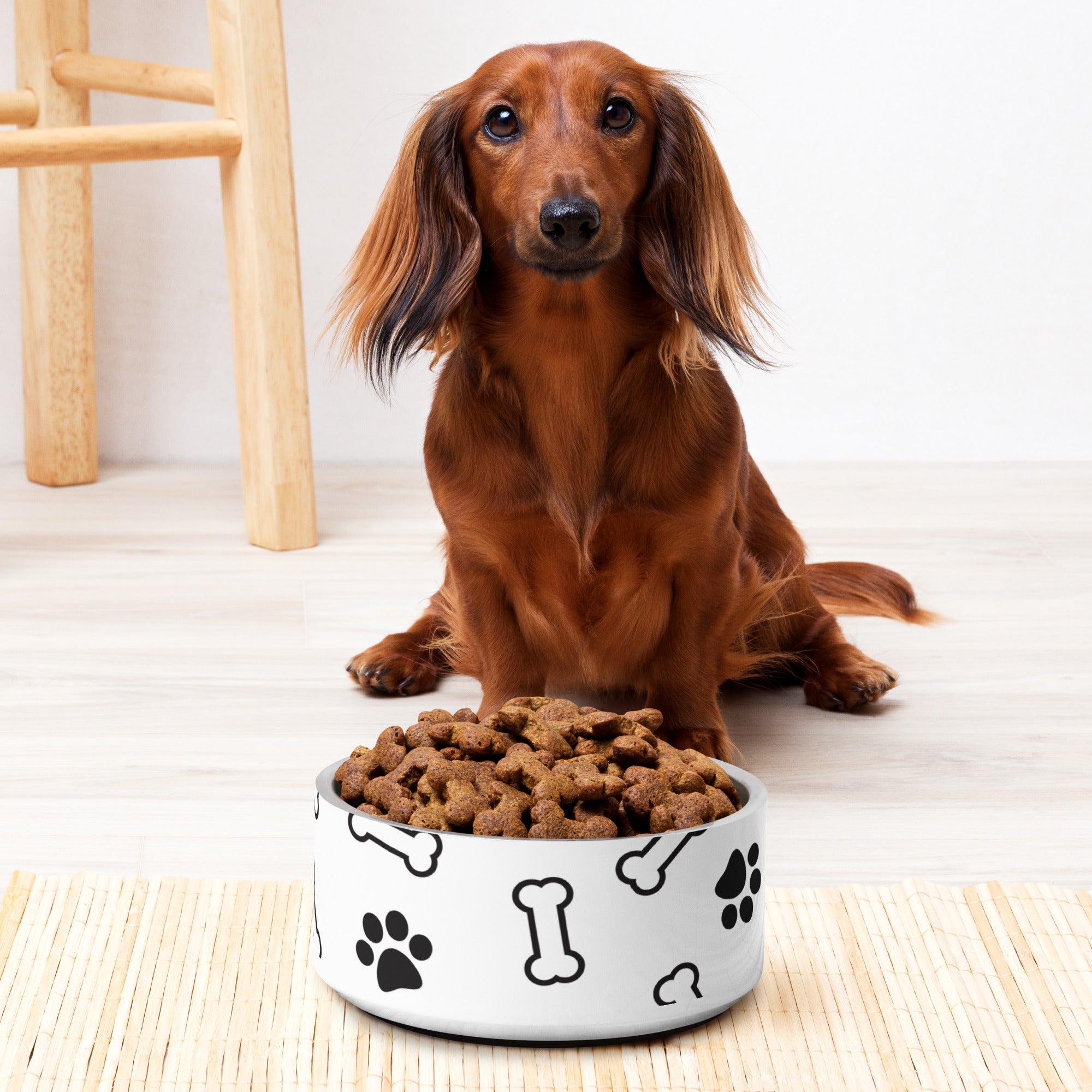 Paws N' Bone Pet Bowl