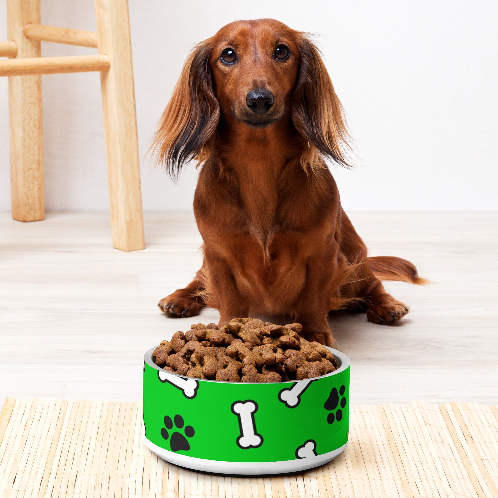 Paws N' Bone Green Pet Bowl