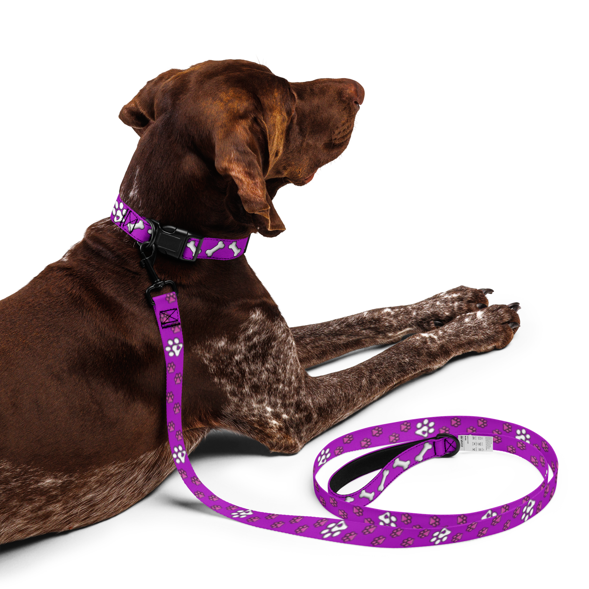 Pink Paws n' Bone Collar & Leash