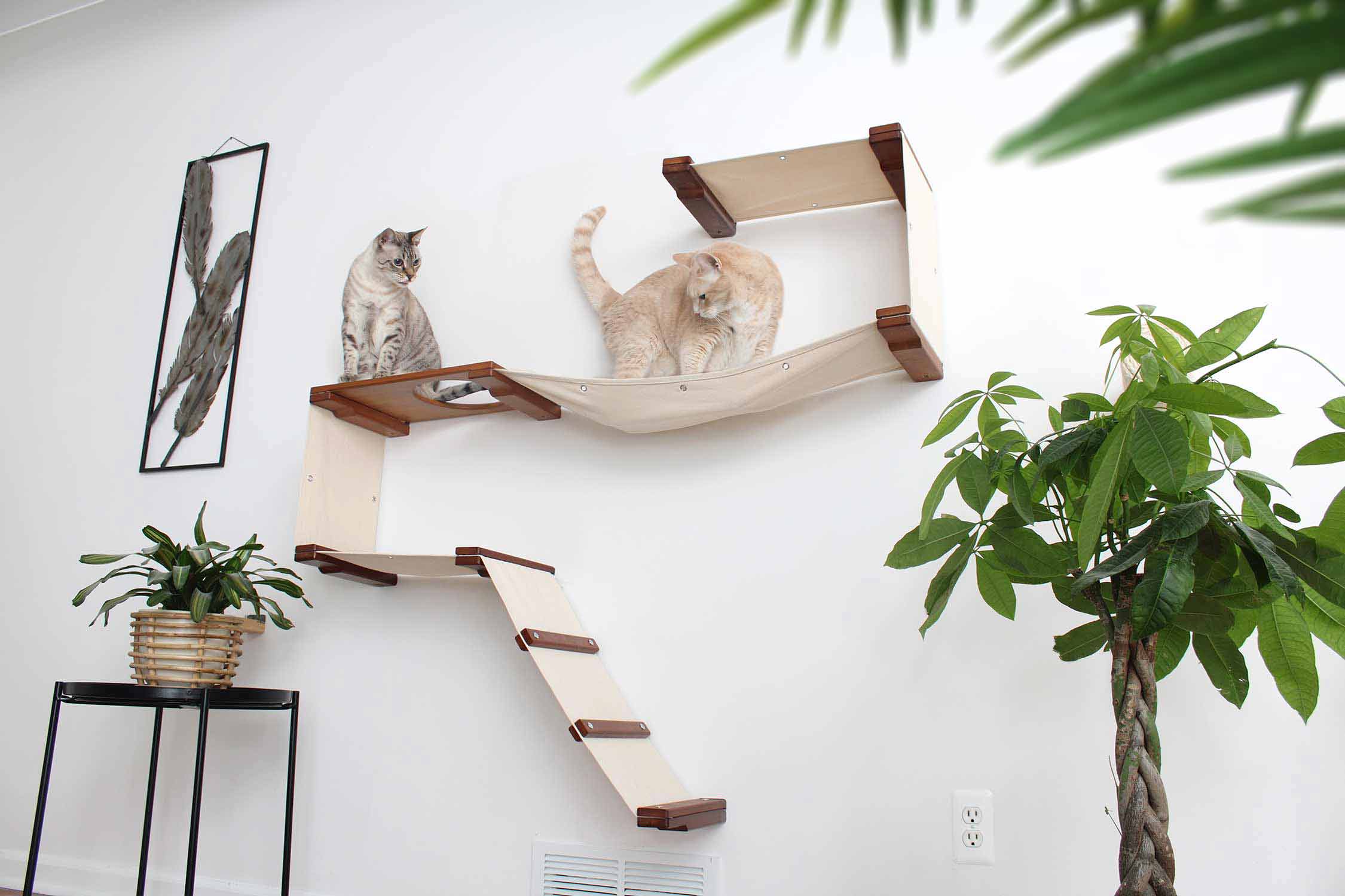 The Play Cat Condo - A Wall-Mounted Cat Tree - by Catastrophic Creations