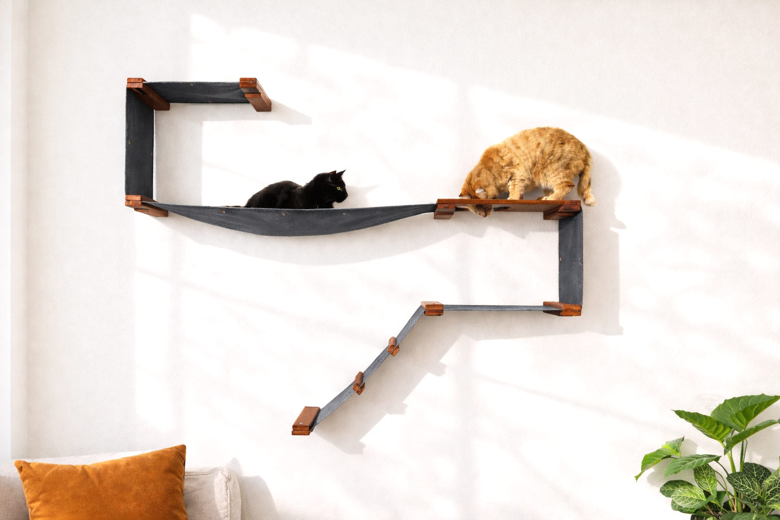 The Play Cat Condo - A Wall-Mounted Cat Tree - by Catastrophic Creations