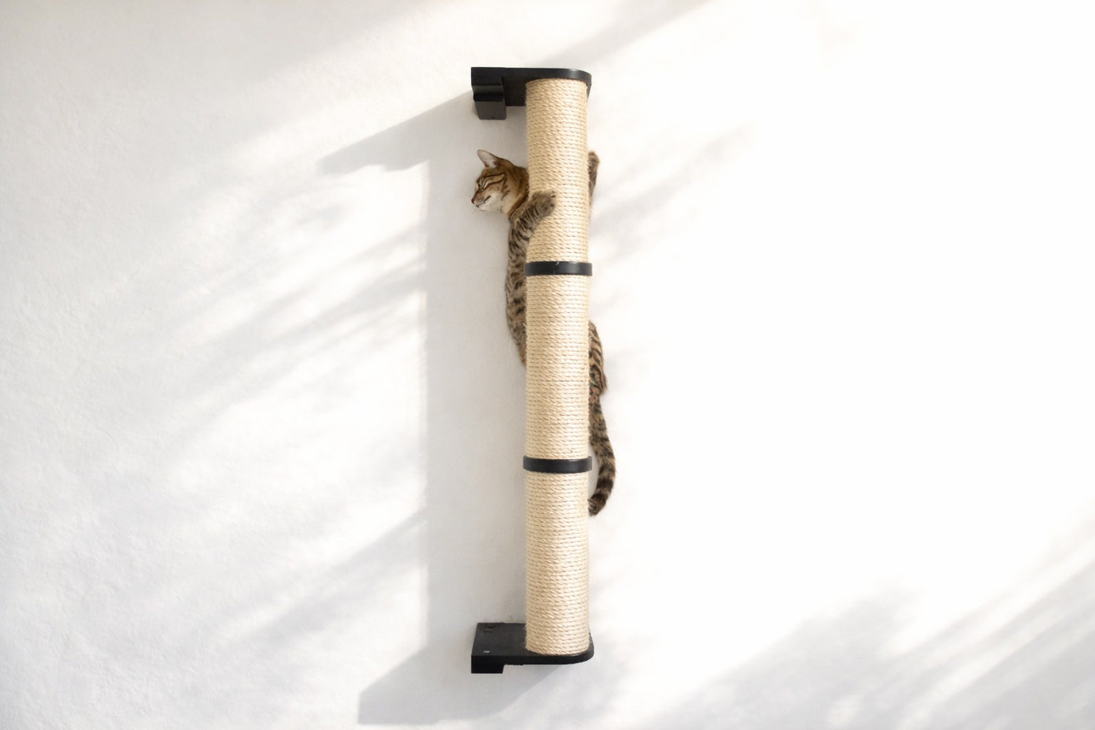Cat Scratching Pole (Wall-Mounted) - by Catastrophic Creations