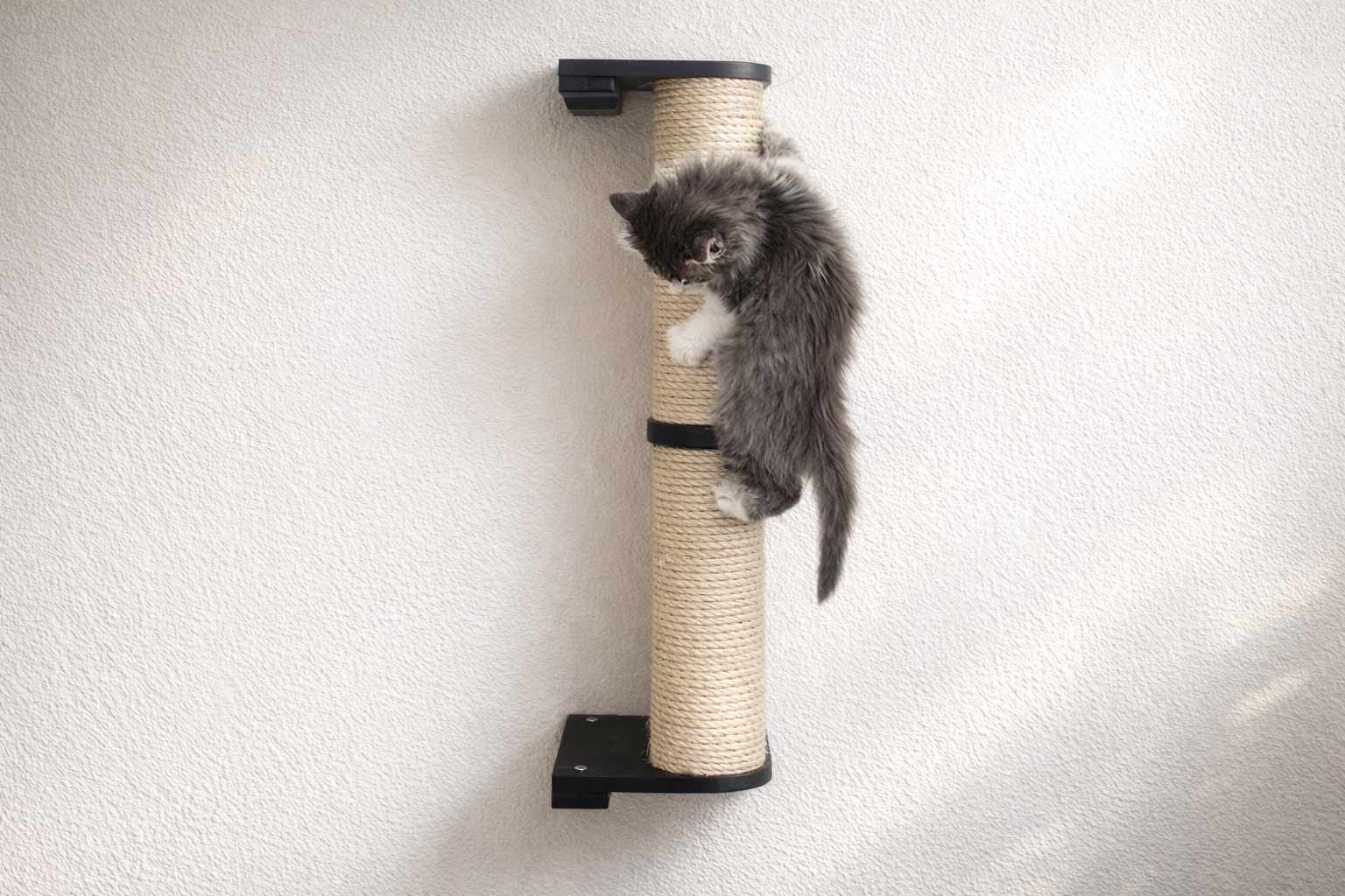 Cat Scratching Pole (Wall-Mounted) - by Catastrophic Creations