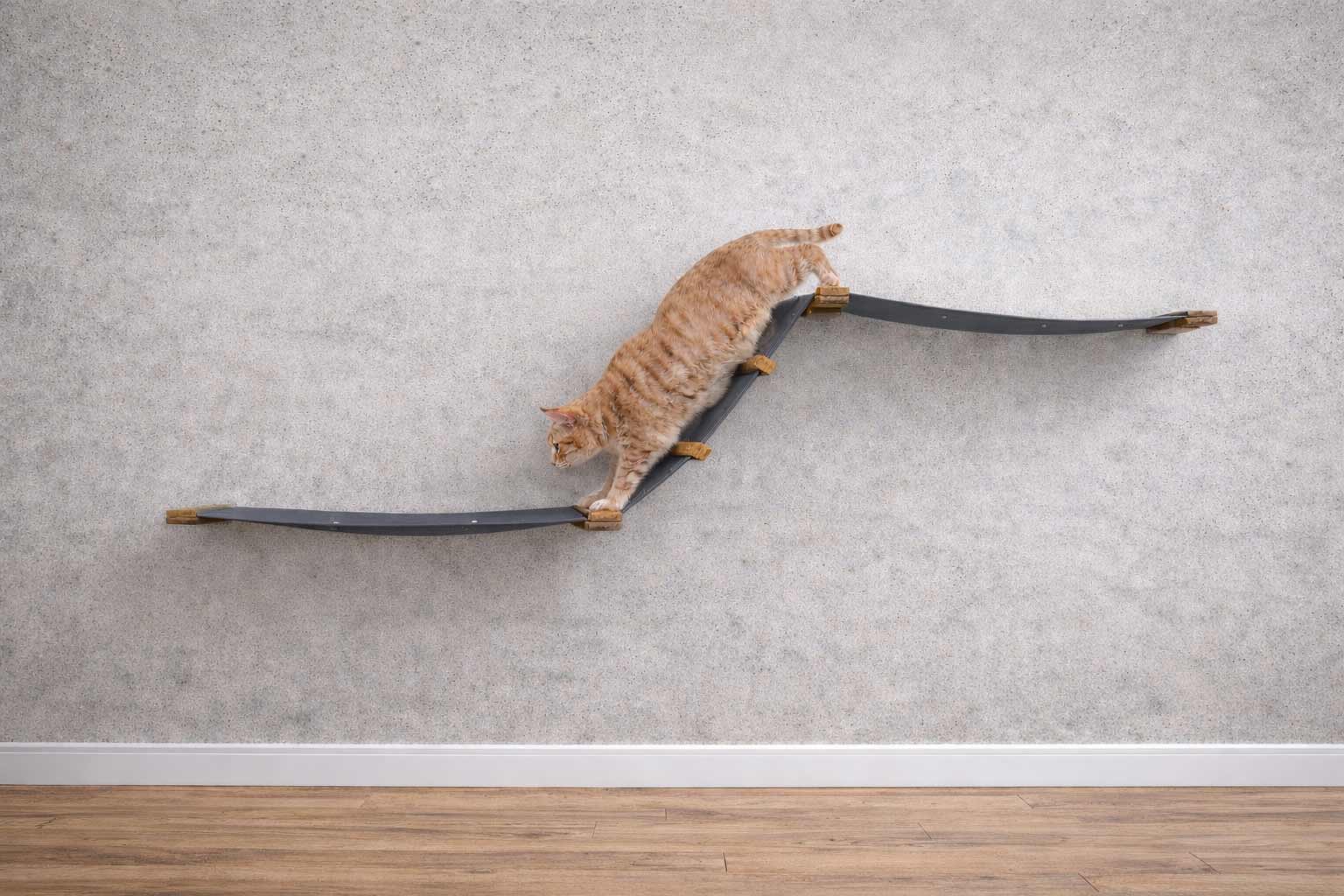 Raceway Hammock - Cat Wall Ramp - by Catastrophic Creations