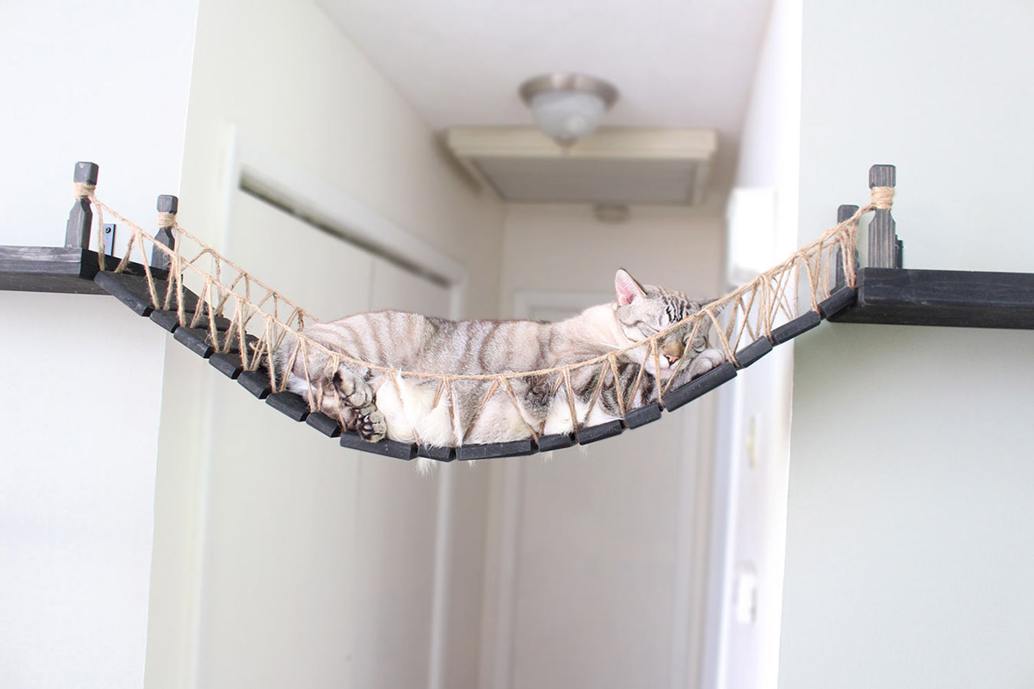 Our Wall-Mounted Cat Bridge - by Catastrophic Creations