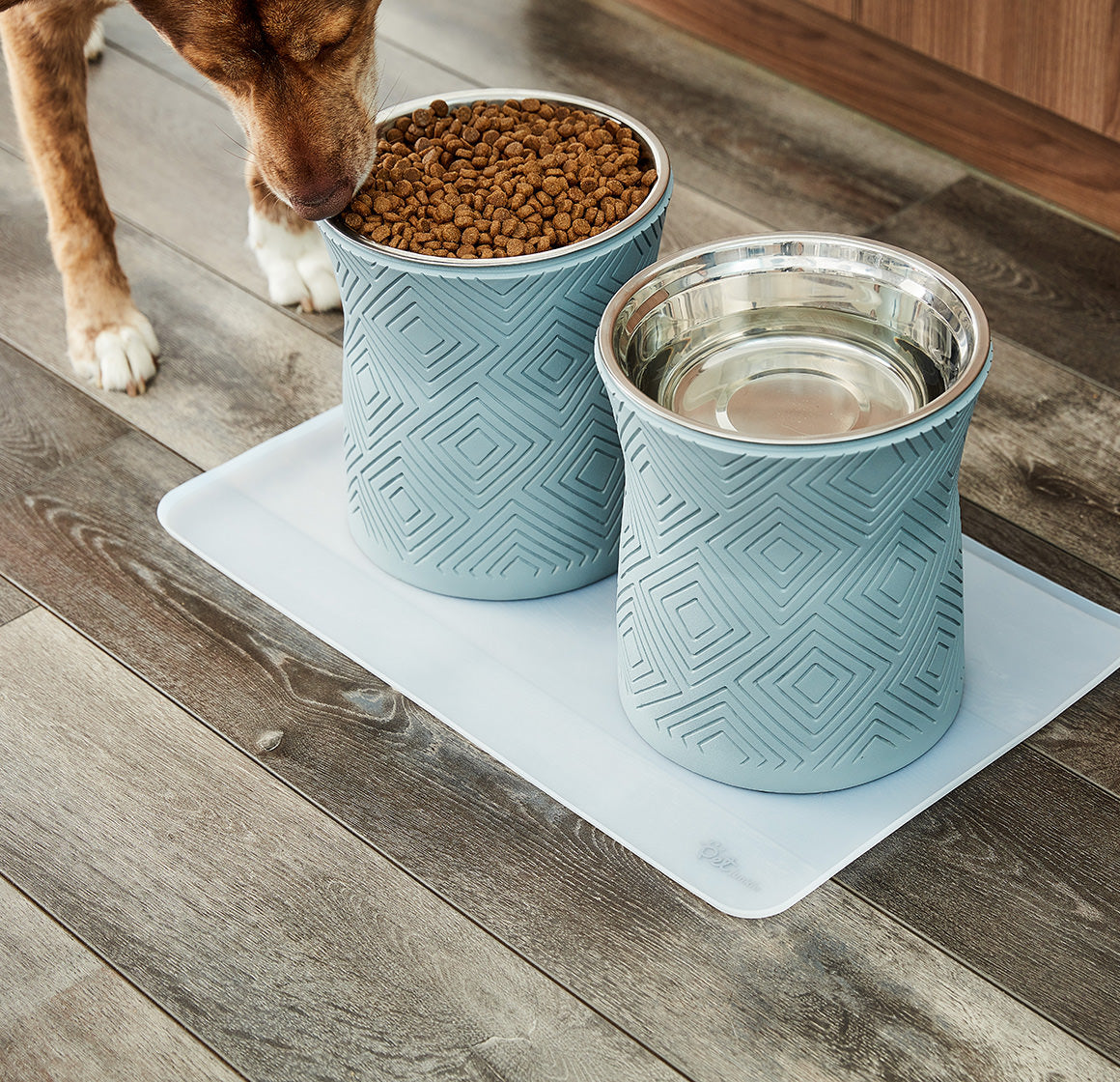 Santa Fe Modern Elevated Dog Bowl