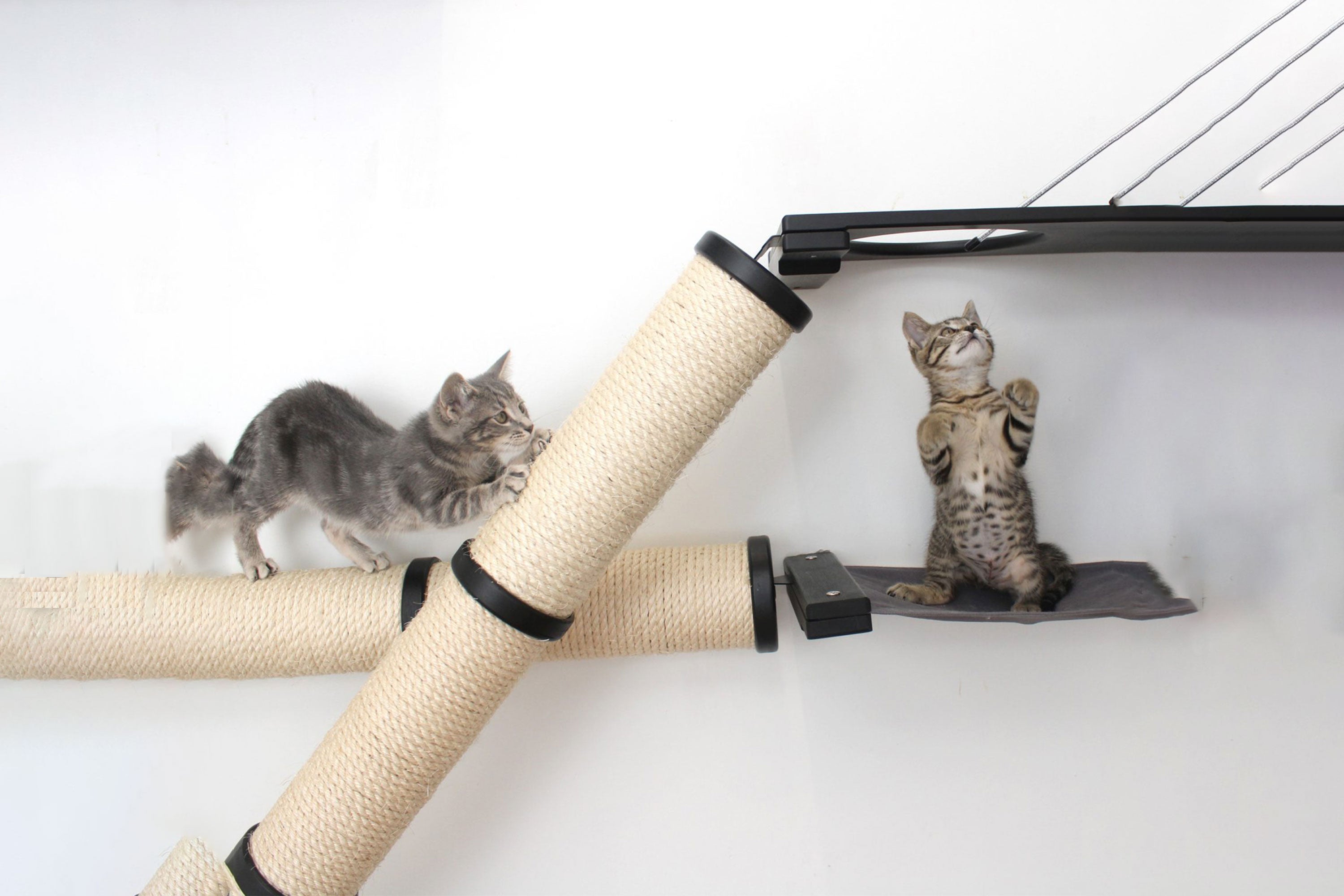 The Crossroads Wall Cat Scratcher - Cat Tree Condo - by Catastrophic Creations