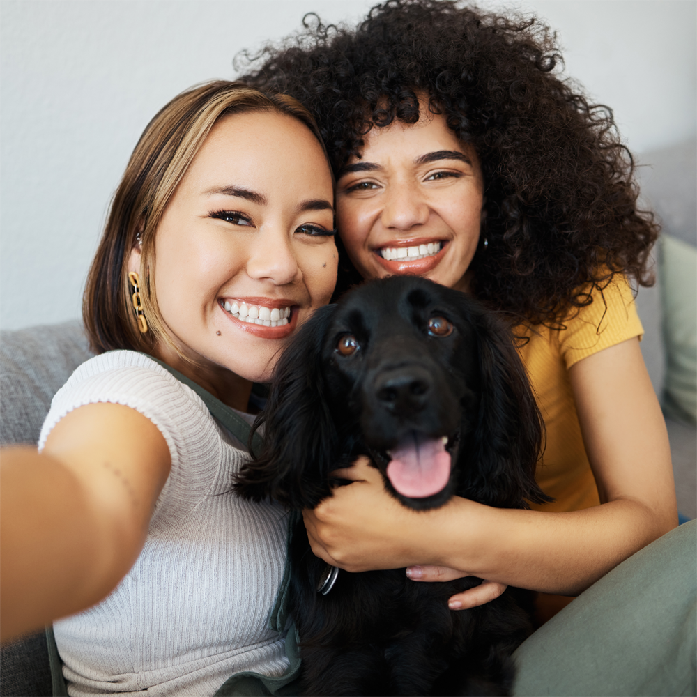 Through Thick and Thin: How Pets Offer Support During Challenging Times