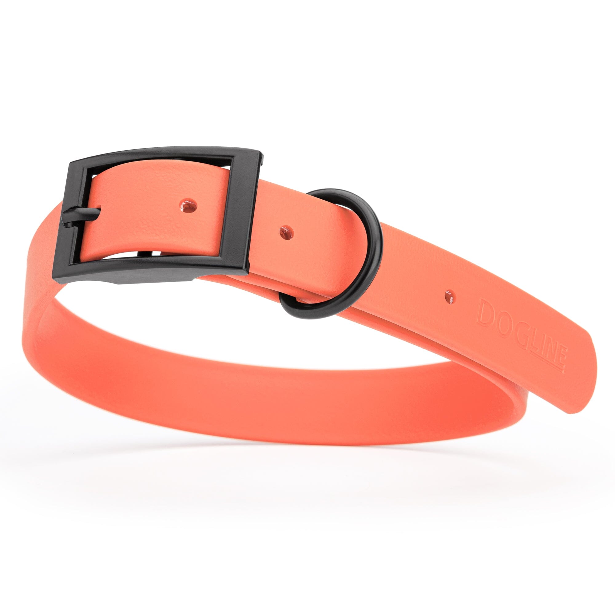 Biothane Waterproof Dog Collar - Large (18 to 22 inches)