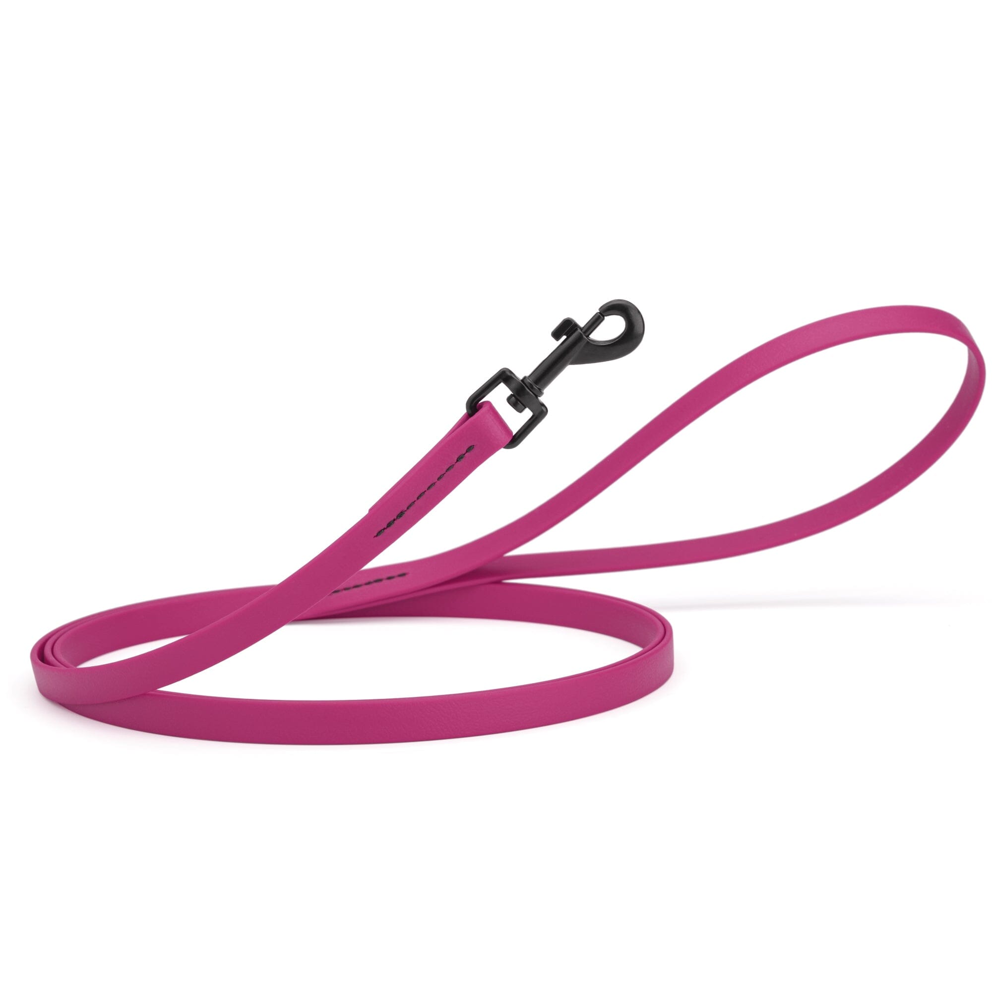 Biothane Waterproof Dog Leash 6 ft