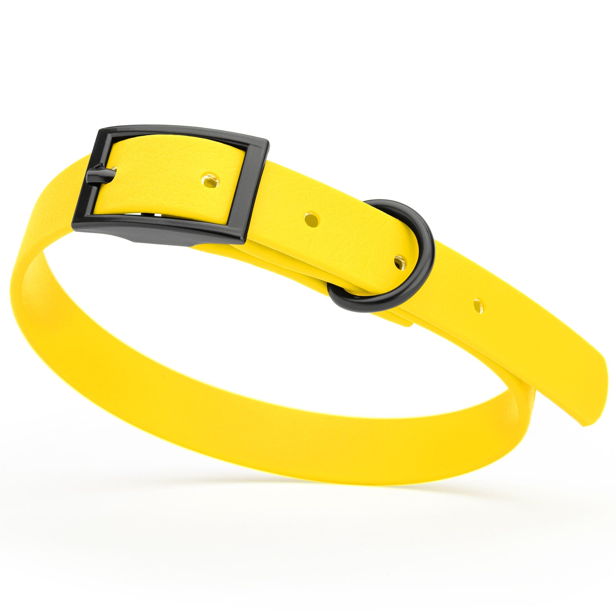 Biothane Waterproof Dog Collar - Small (12 to 15 inches)
