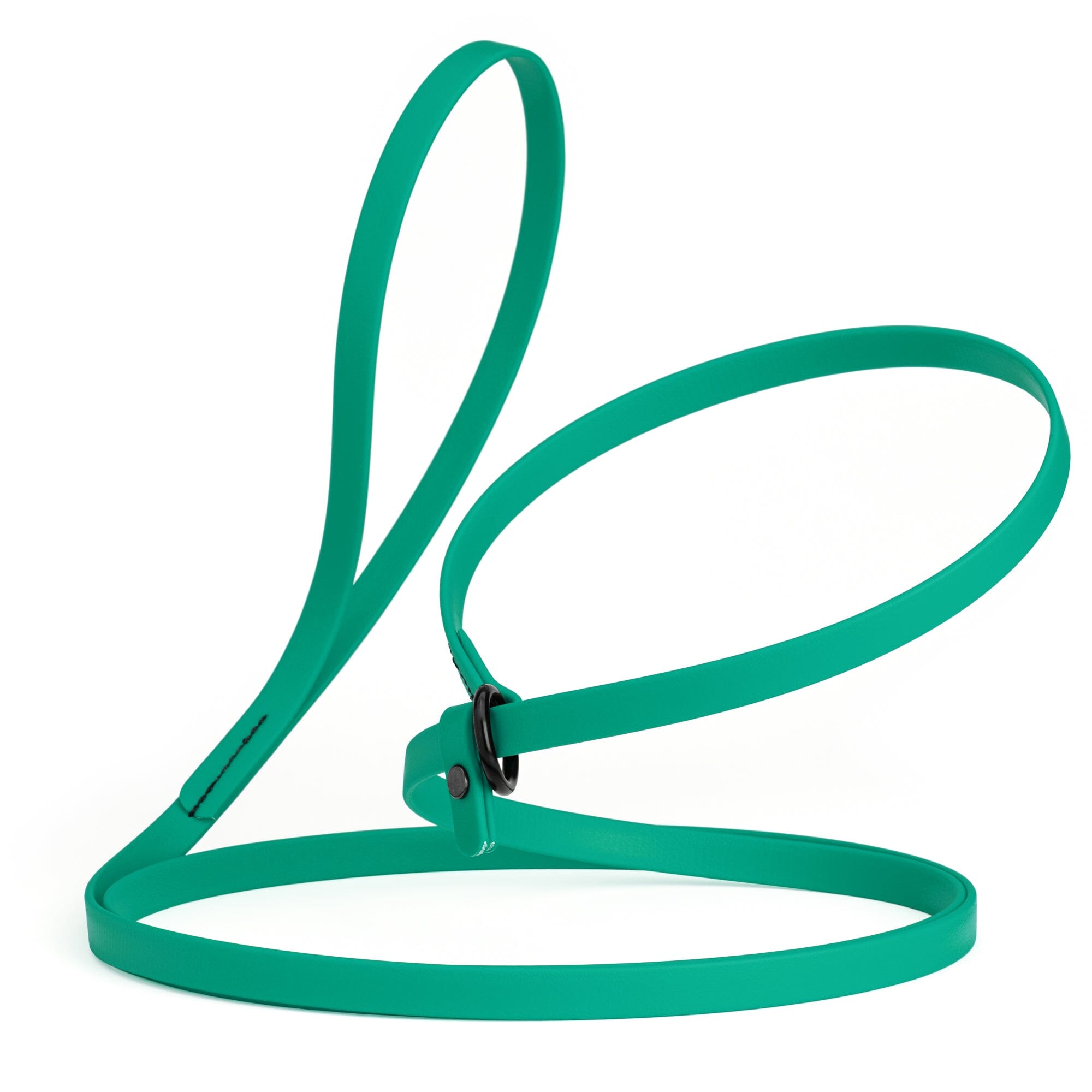 Biothane Slip Lead for Dogs, 5FT and 7FT