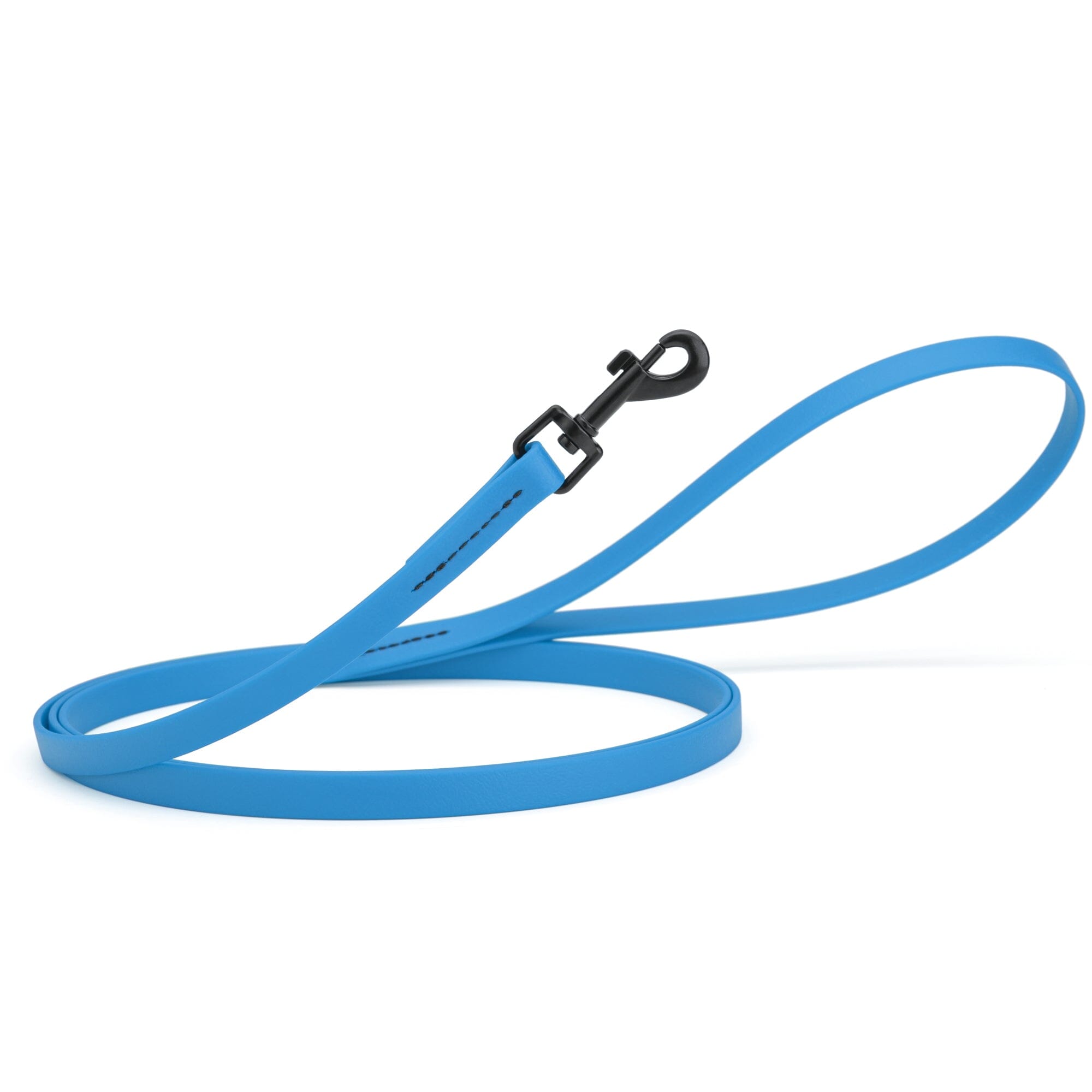 Biothane Waterproof Dog Leash 6 ft
