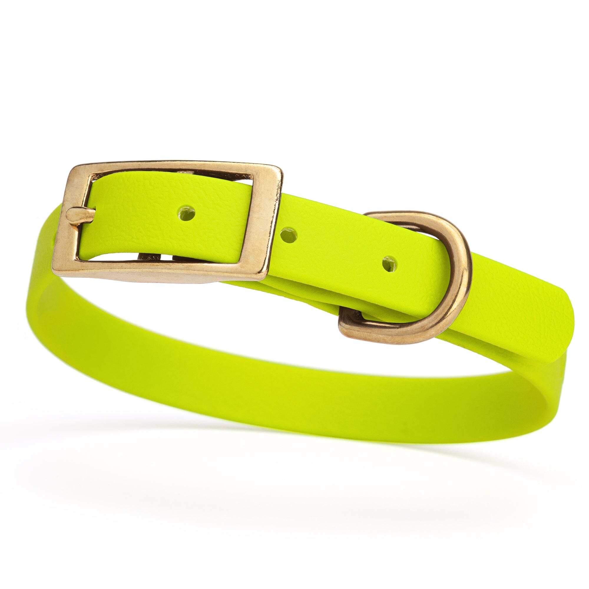 Viper Biothane Waterproof Dog Collar - Brass Hardware - Size S (12" - 15")