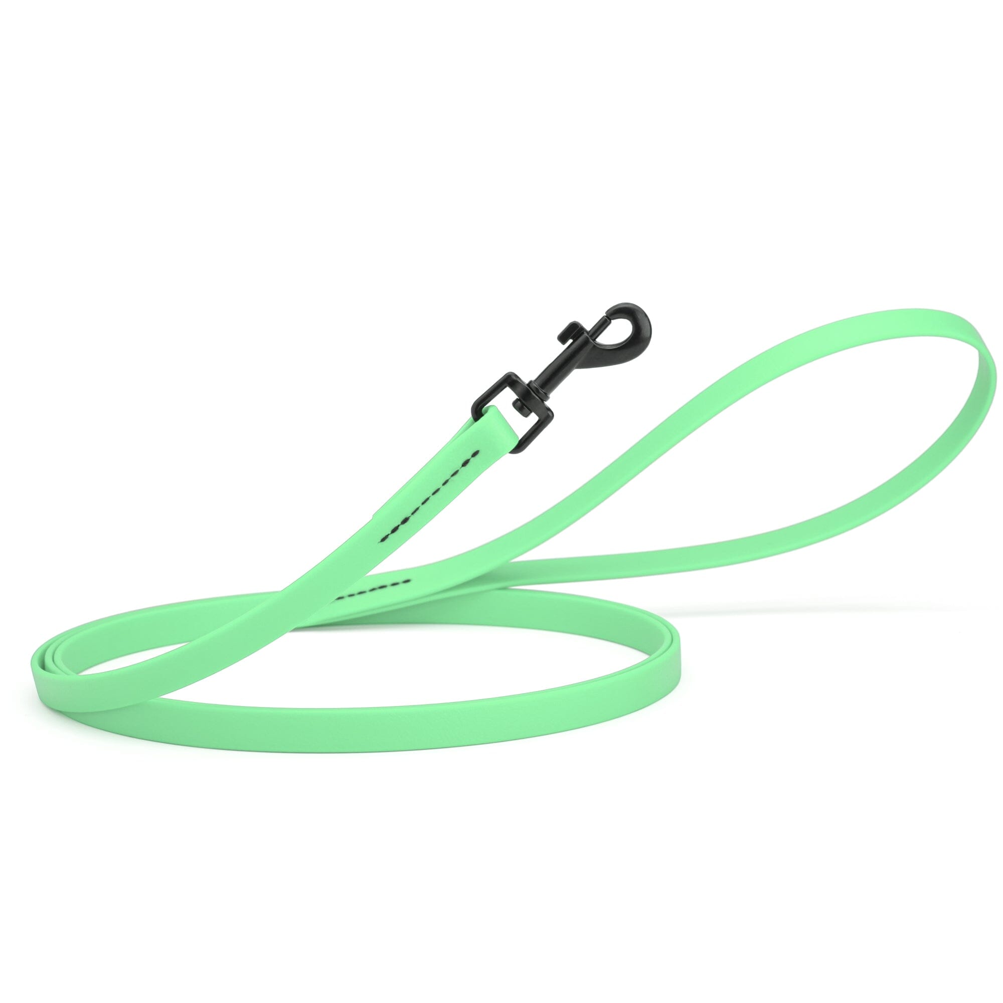 Biothane Waterproof Dog Leash, 4 ft