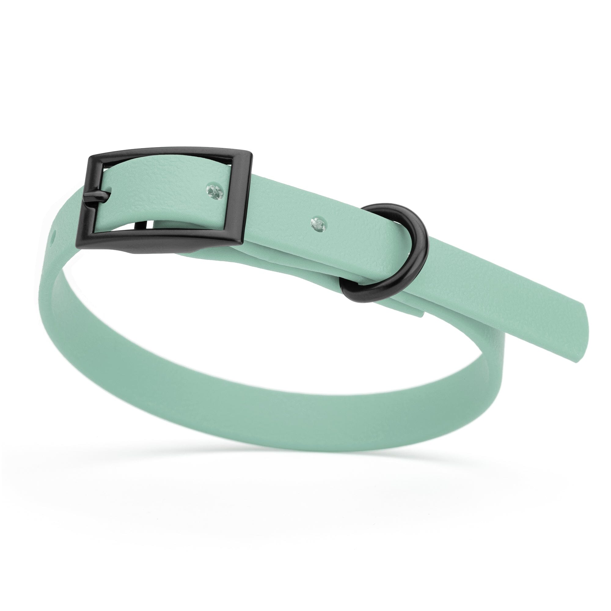 Biothane Waterproof Dog Collar - X-Small (9 to 12 inches)