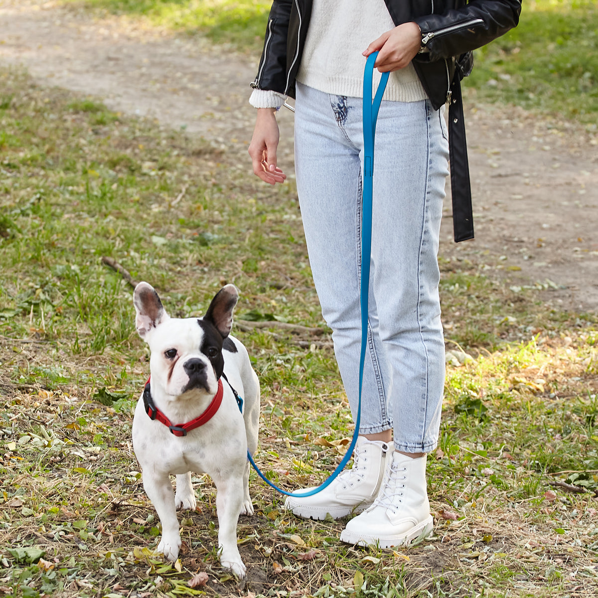 Biothane Waterproof Dog Leash, 4 ft