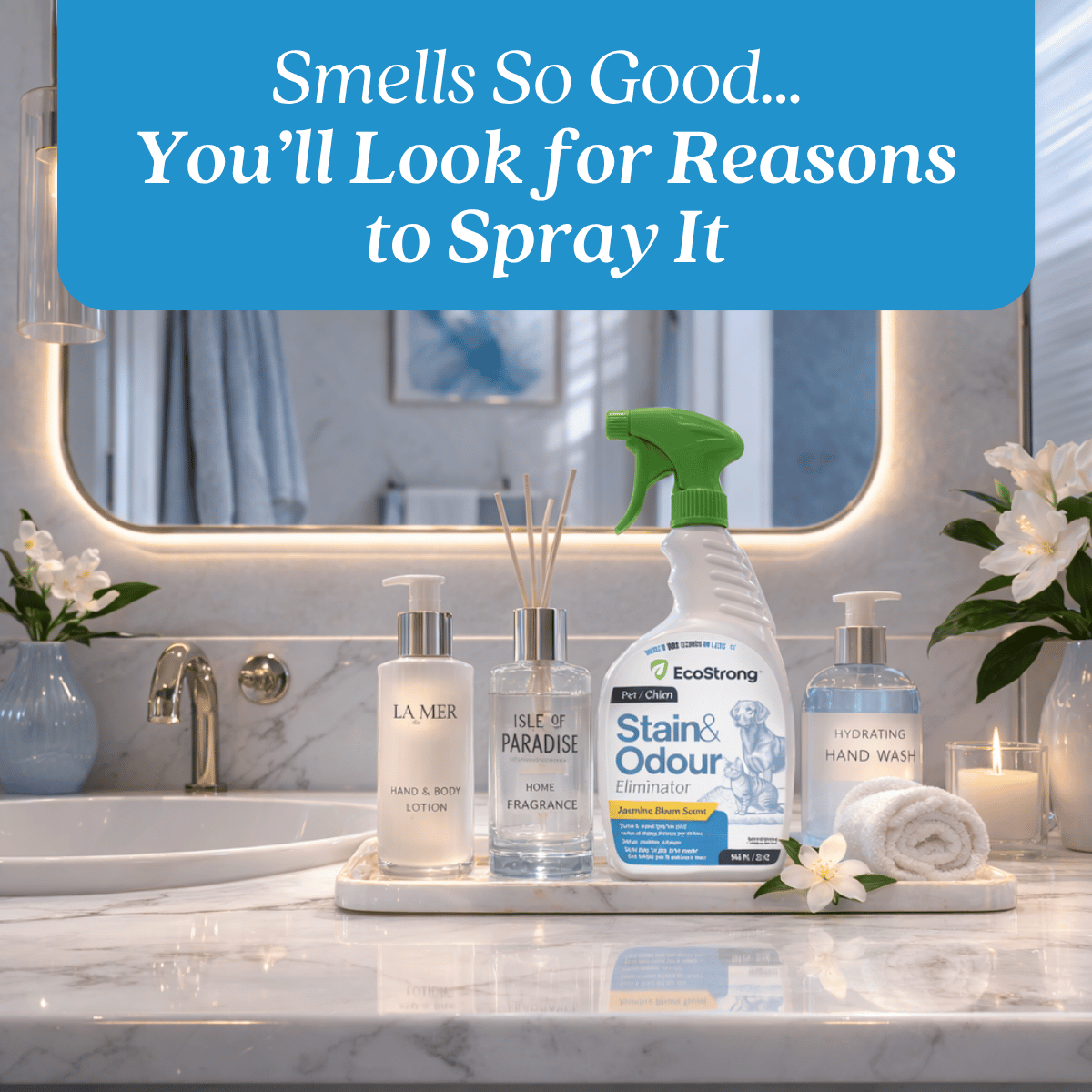 Pet Stain and Odor Eliminator