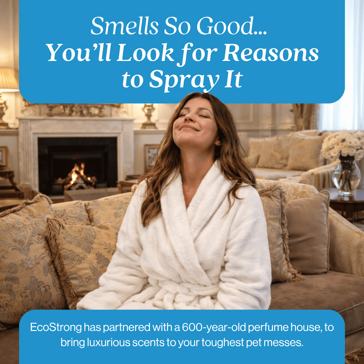 Pet Stain and Odor Eliminator