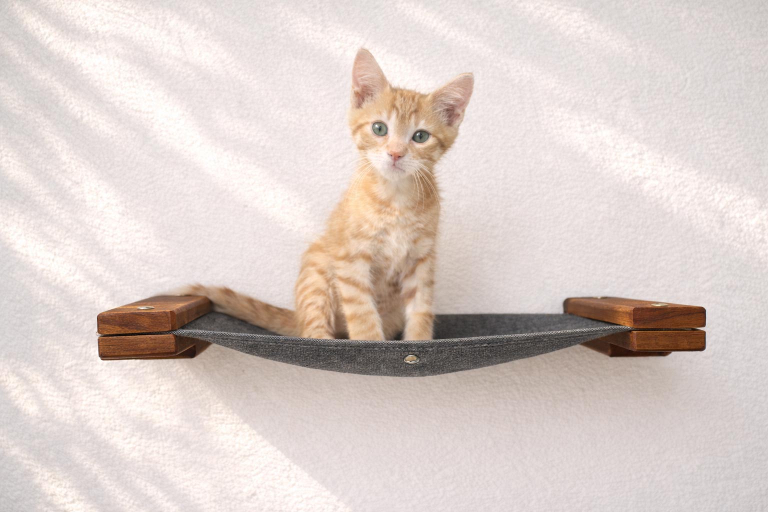 Cat Wall Hammock - Hanging Cat Beds - by Catastrophic Creations