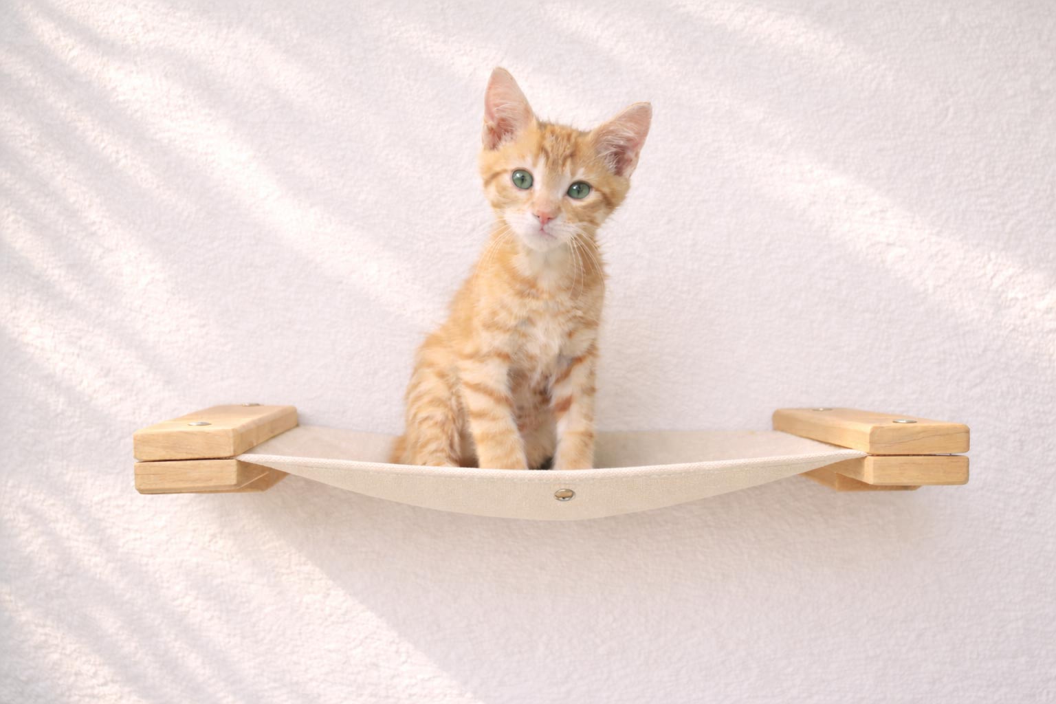 Cat Wall Hammock - Hanging Cat Beds - by Catastrophic Creations