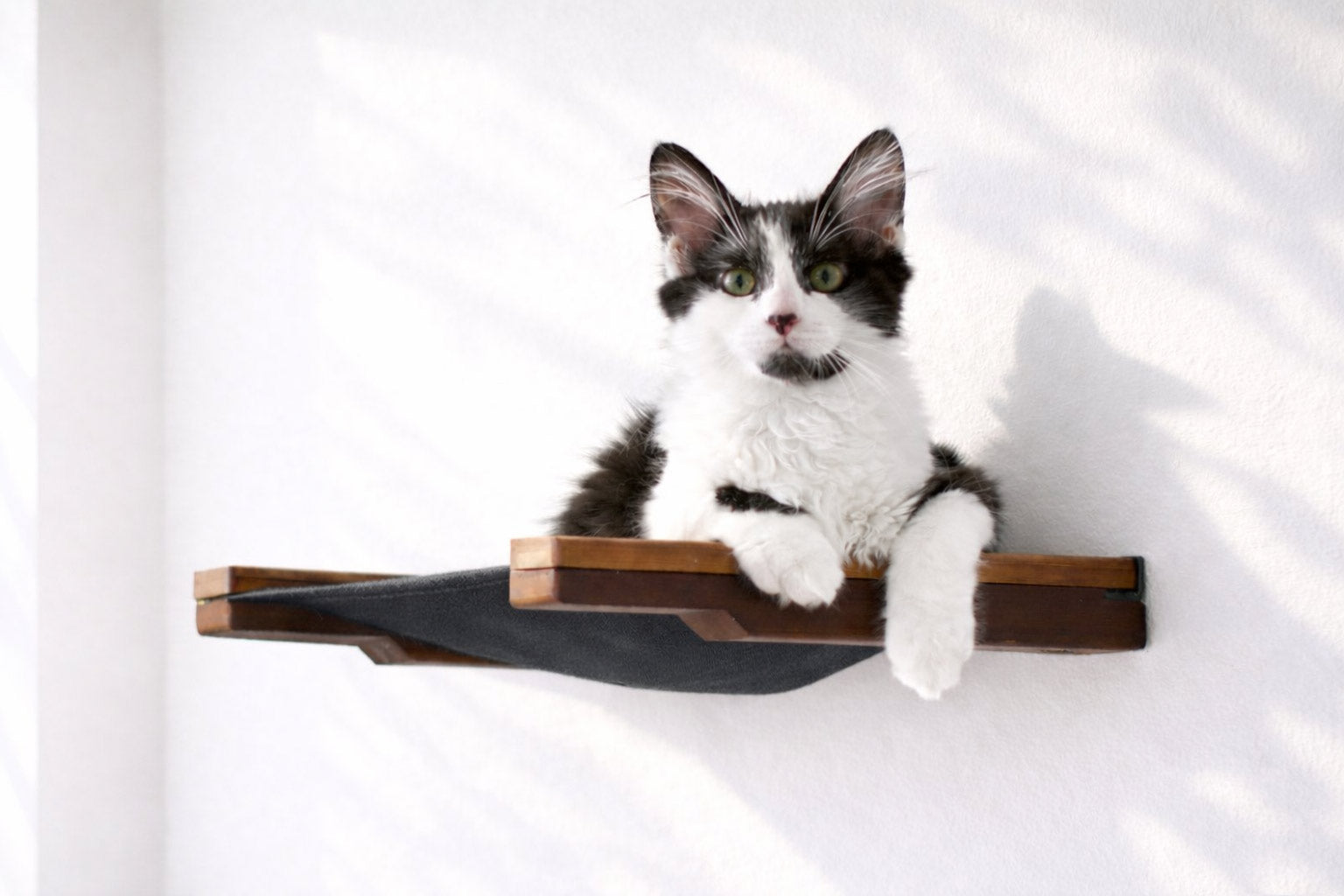 Cat Wall Hammock - Hanging Cat Beds - by Catastrophic Creations