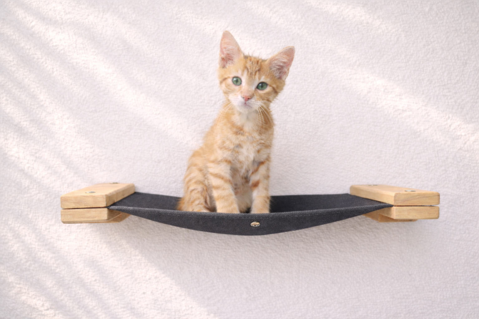 Cat Wall Hammock - Hanging Cat Beds - by Catastrophic Creations