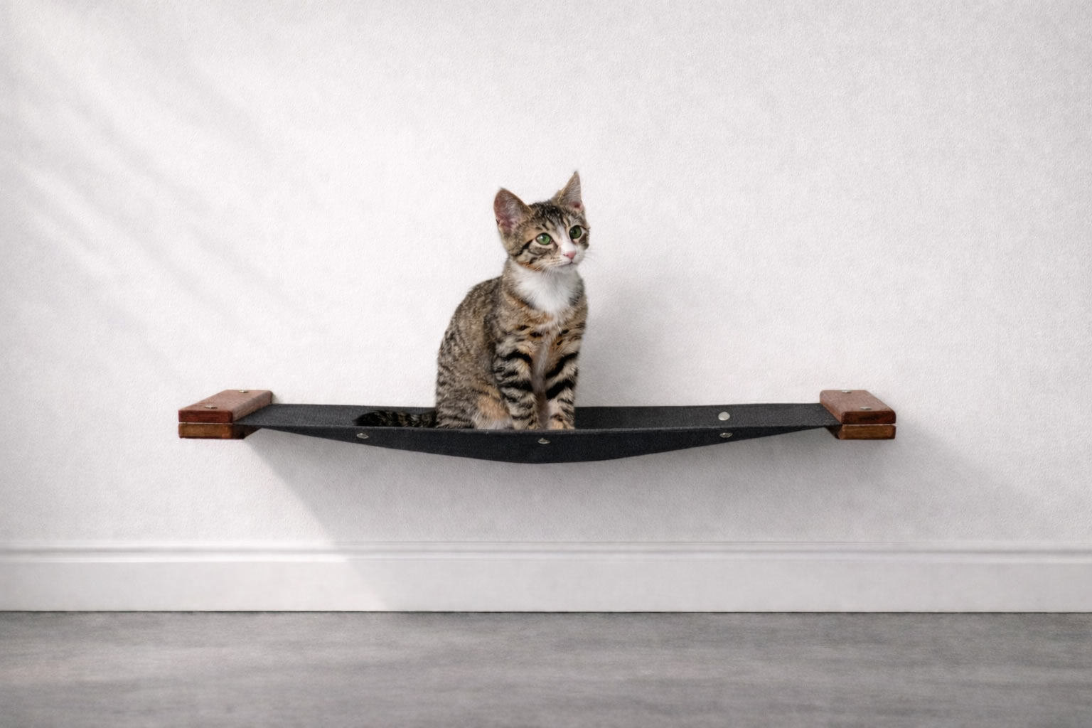 Cat Wall Hammock - Hanging Cat Beds - by Catastrophic Creations