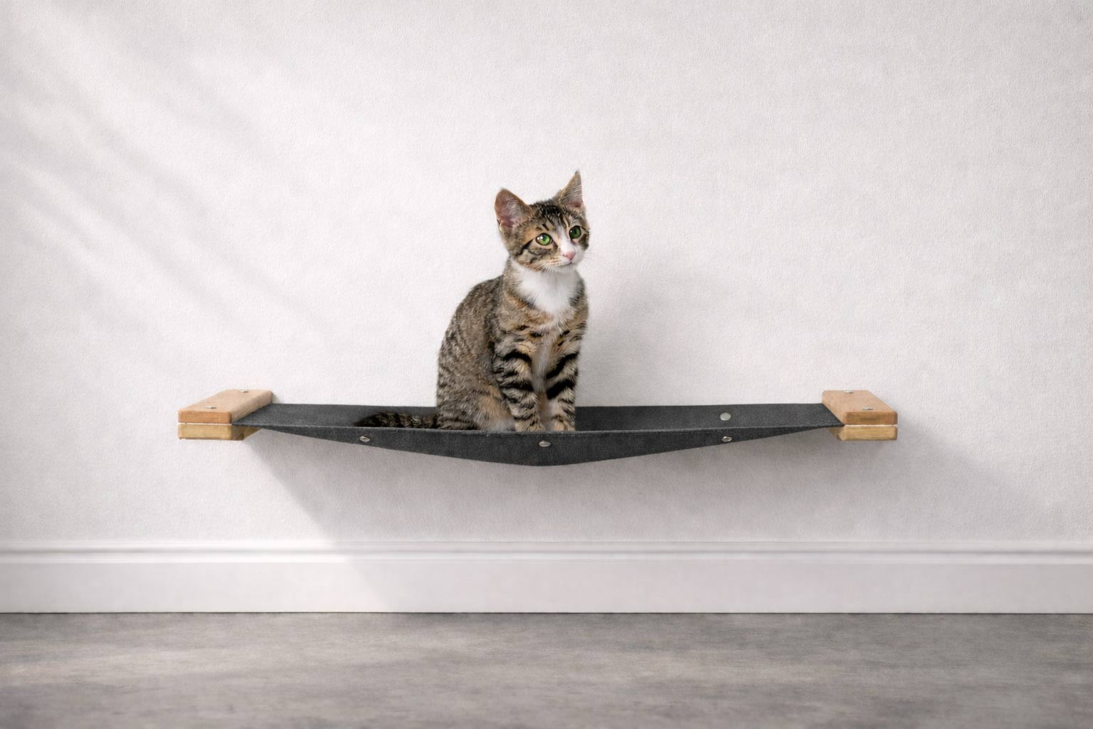 Cat Wall Hammock - Hanging Cat Beds - by Catastrophic Creations
