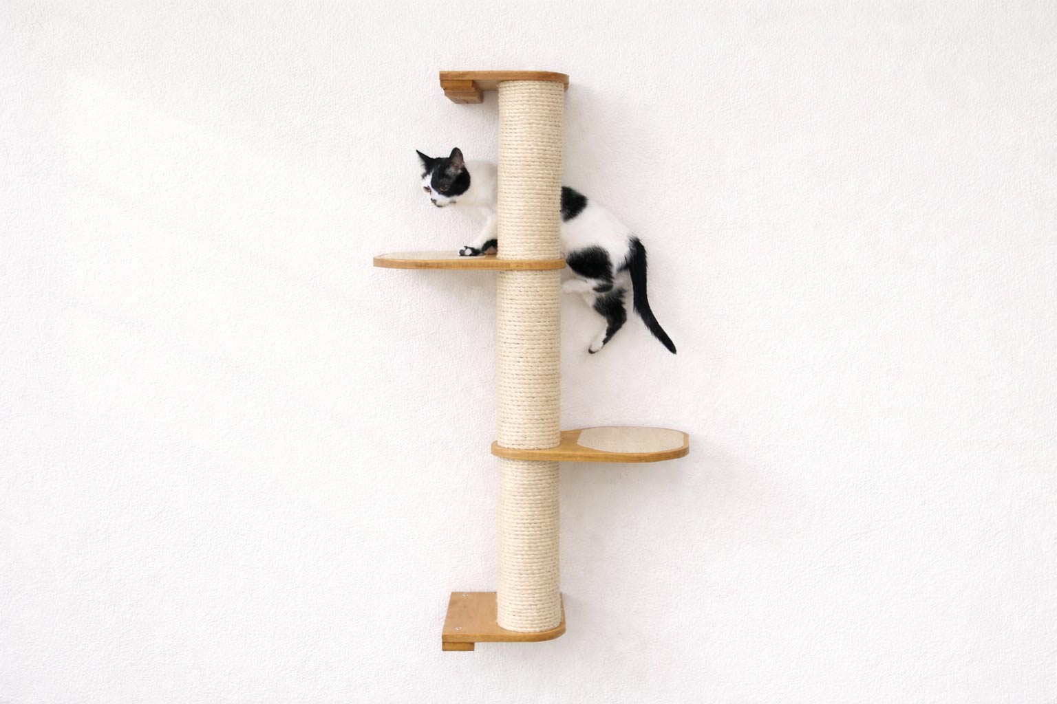 Cat Scratching Pole (Wall-Mounted) - by Catastrophic Creations