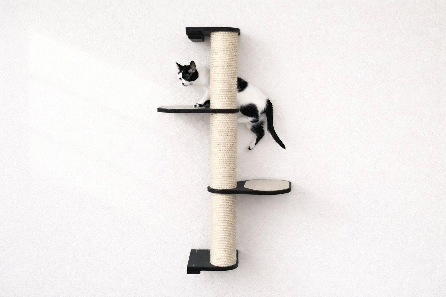 Cat Scratching Pole (Wall-Mounted) - by Catastrophic Creations