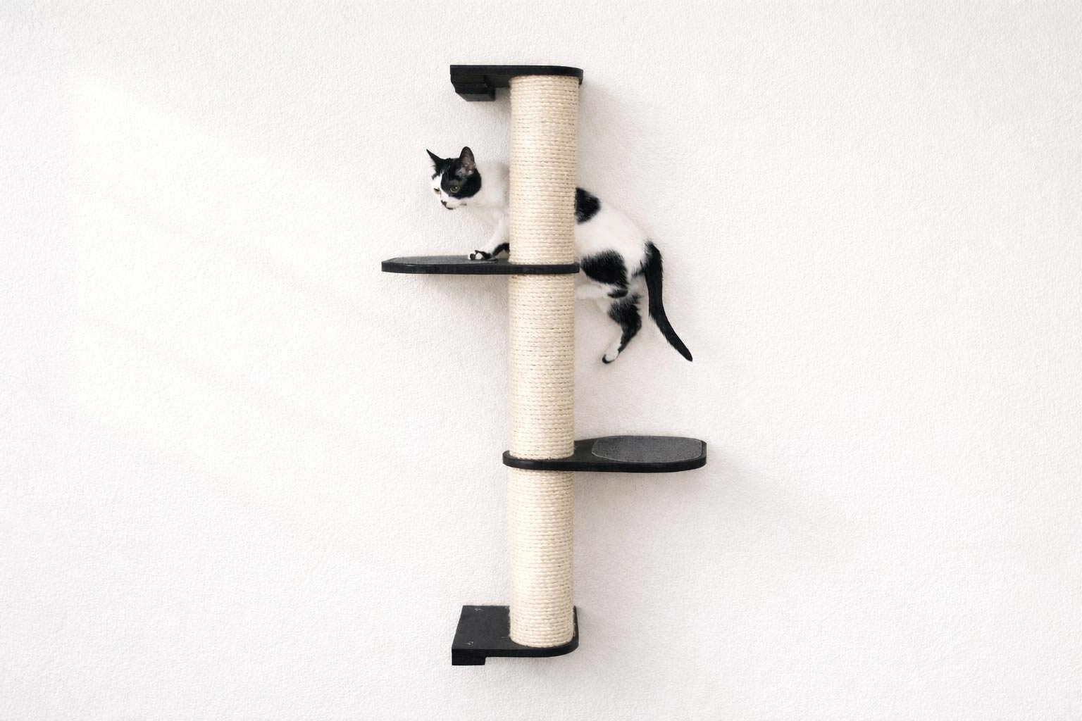 Cat Scratching Pole (Wall-Mounted) - by Catastrophic Creations