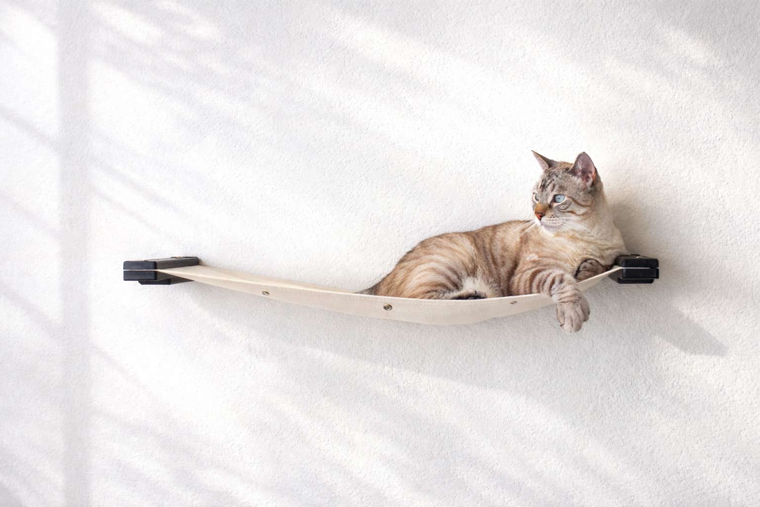 Cat Wall Hammock - Hanging Cat Beds - by Catastrophic Creations