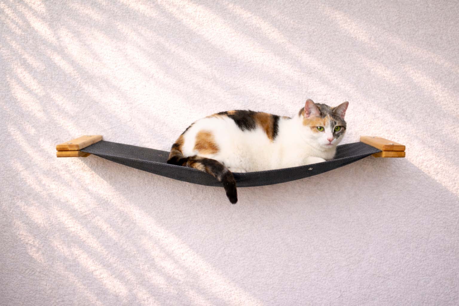 Cat Wall Hammock - Hanging Cat Beds - by Catastrophic Creations