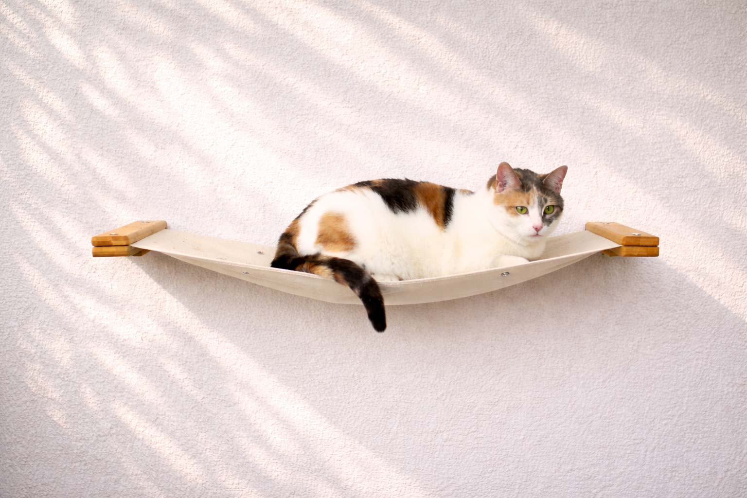 Cat Wall Hammock - Hanging Cat Beds - by Catastrophic Creations