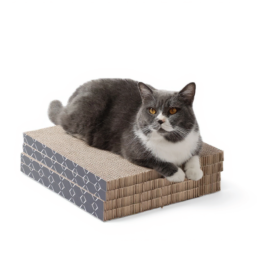 Scratch Pad Refills for Hide & Scratch Box (or use on their own)