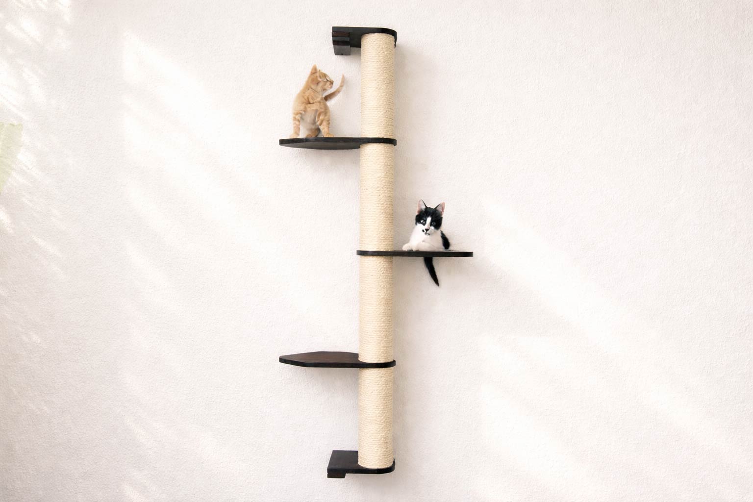 Cat Scratching Pole (Wall-Mounted) - by Catastrophic Creations