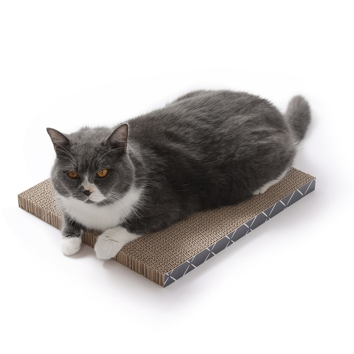 Scratch Pad Refills for Hide & Scratch Box (or use on their own)