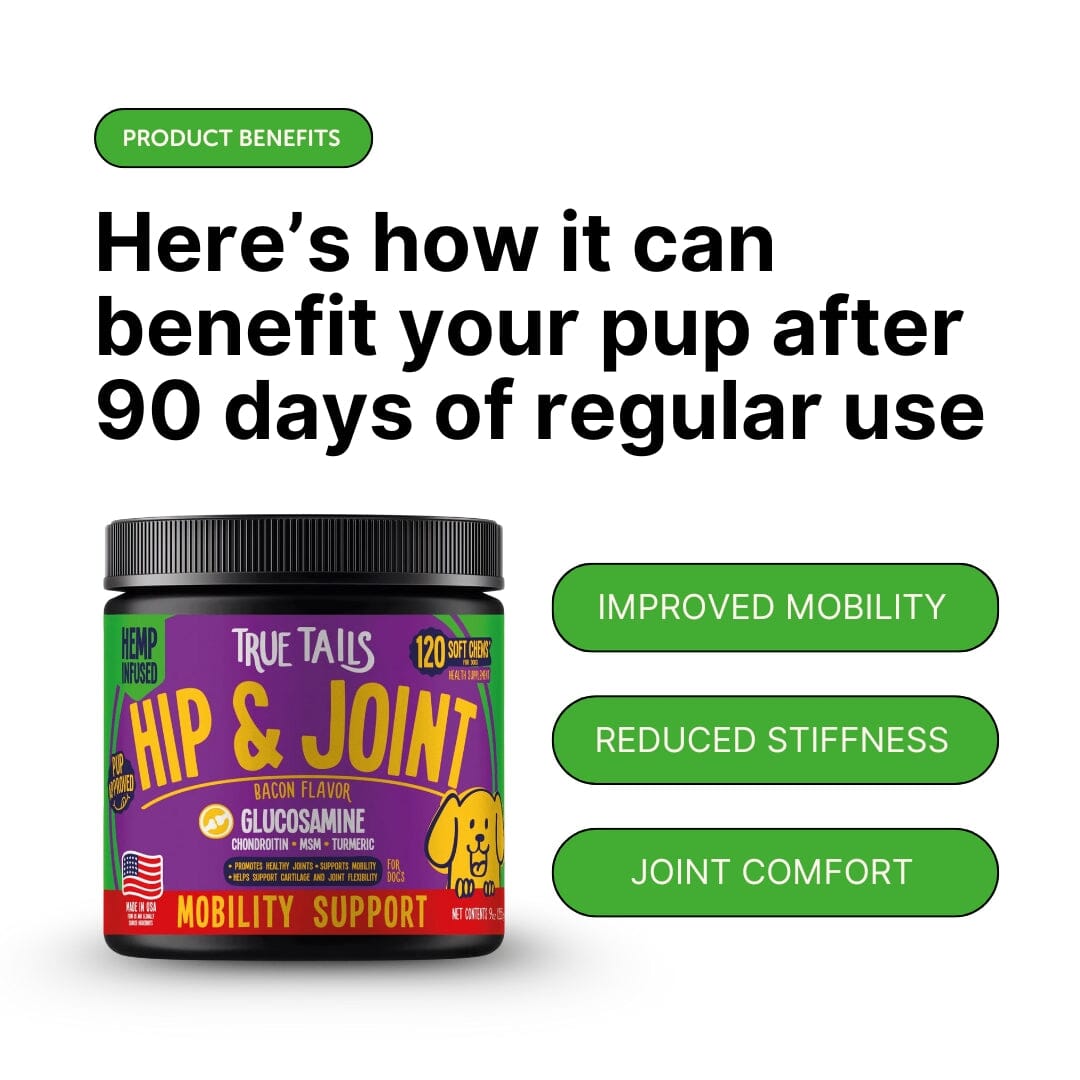Hip & Joint With Hemp For Dogs 9oz Jar (120 count)
