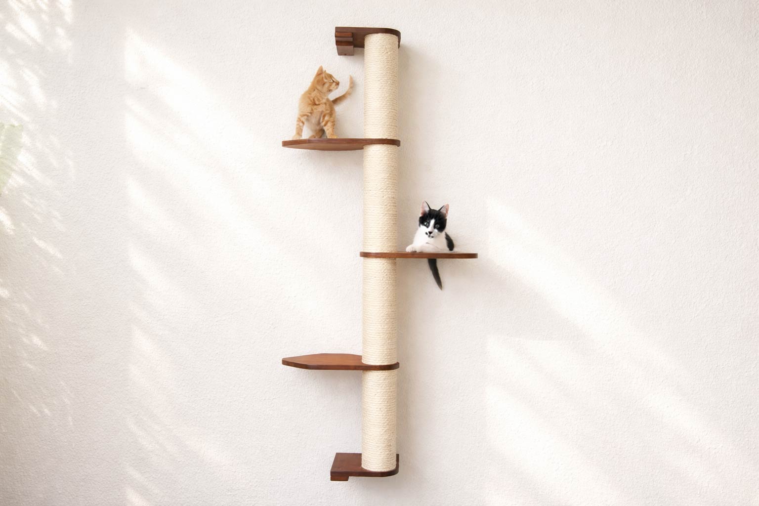Cat Scratching Pole (Wall-Mounted) - by Catastrophic Creations