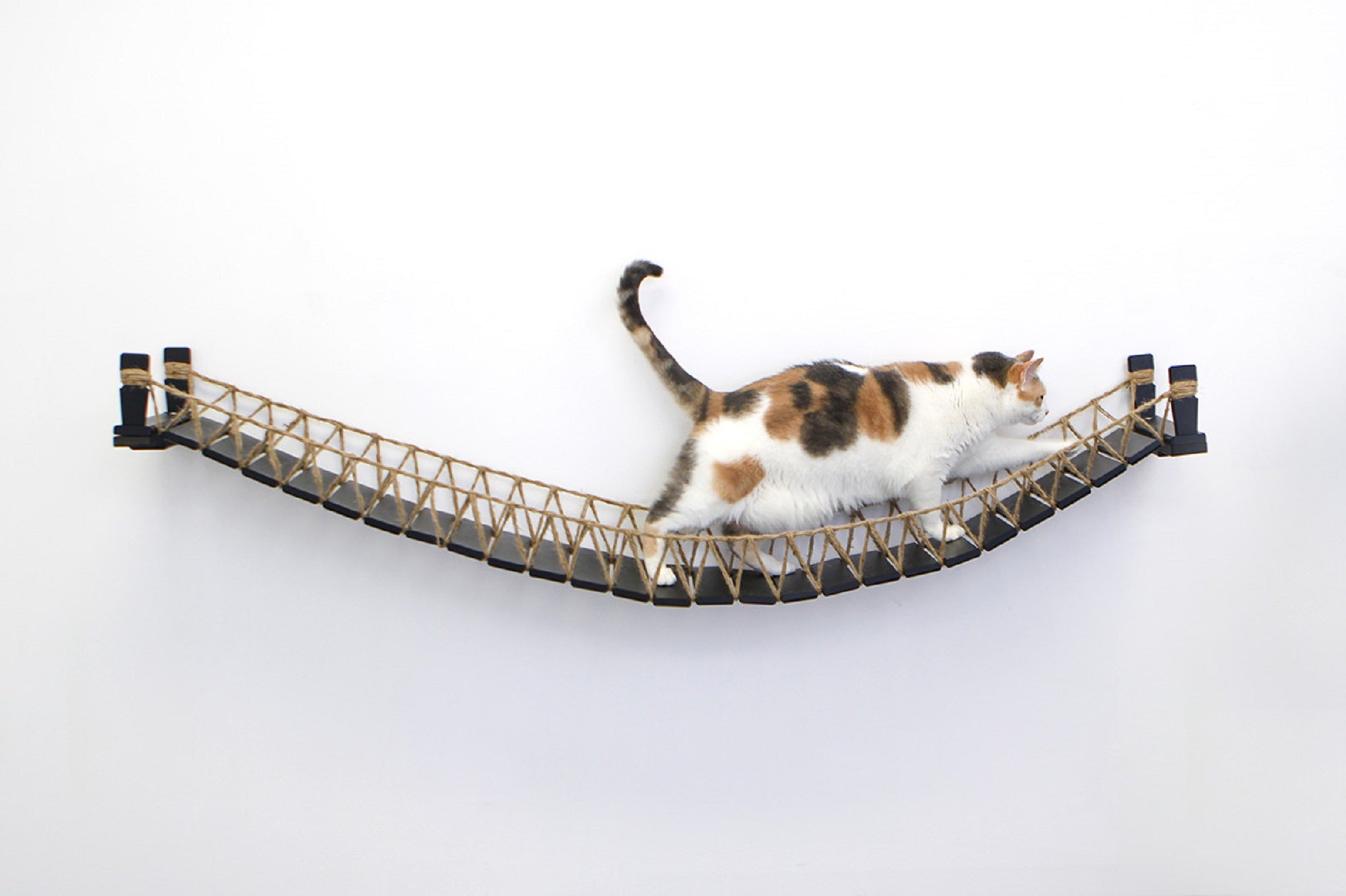 Our Wall-Mounted Cat Bridge - by Catastrophic Creations