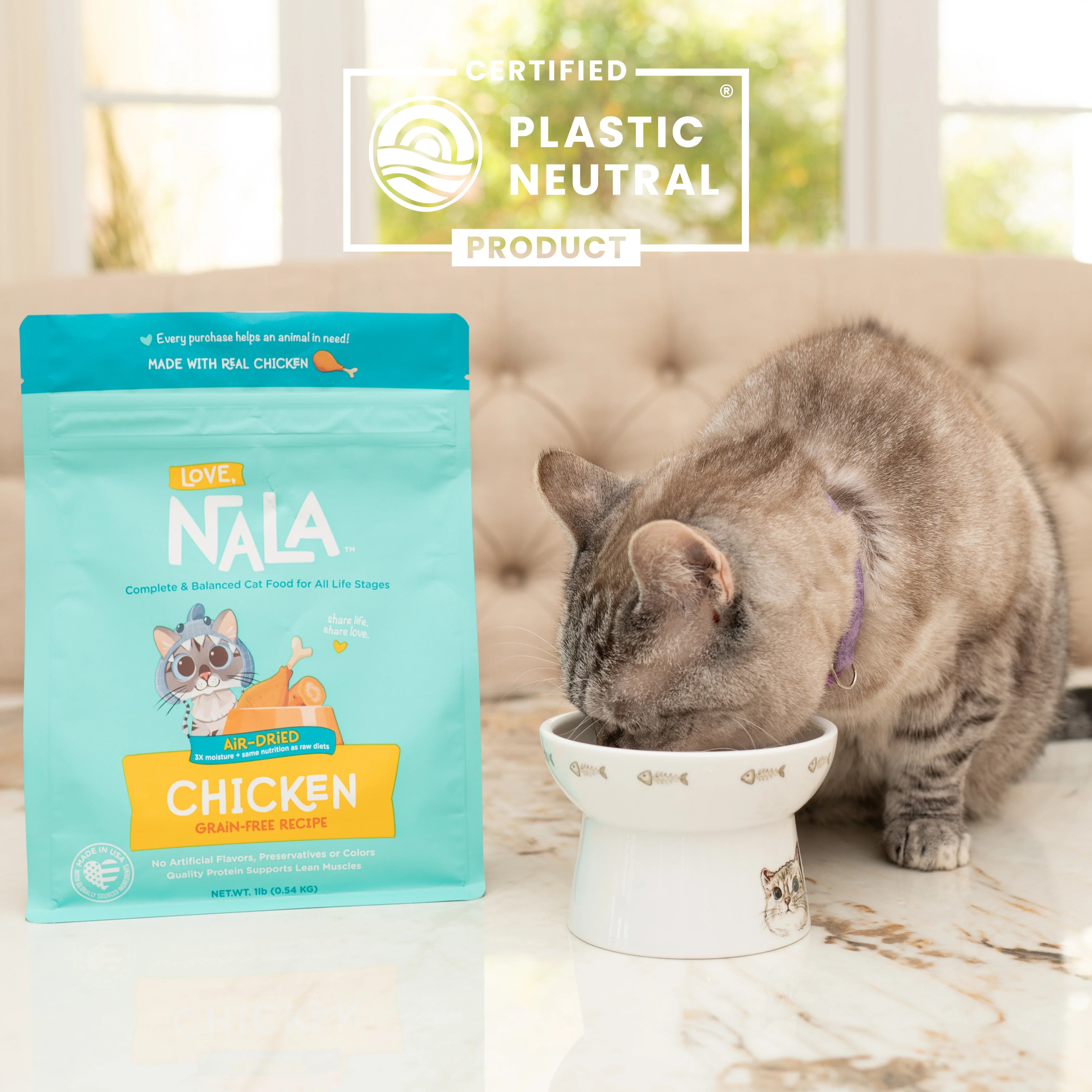 Chicken Grain Free Recipe Air-Dried Adult Cat Food 1lb bag