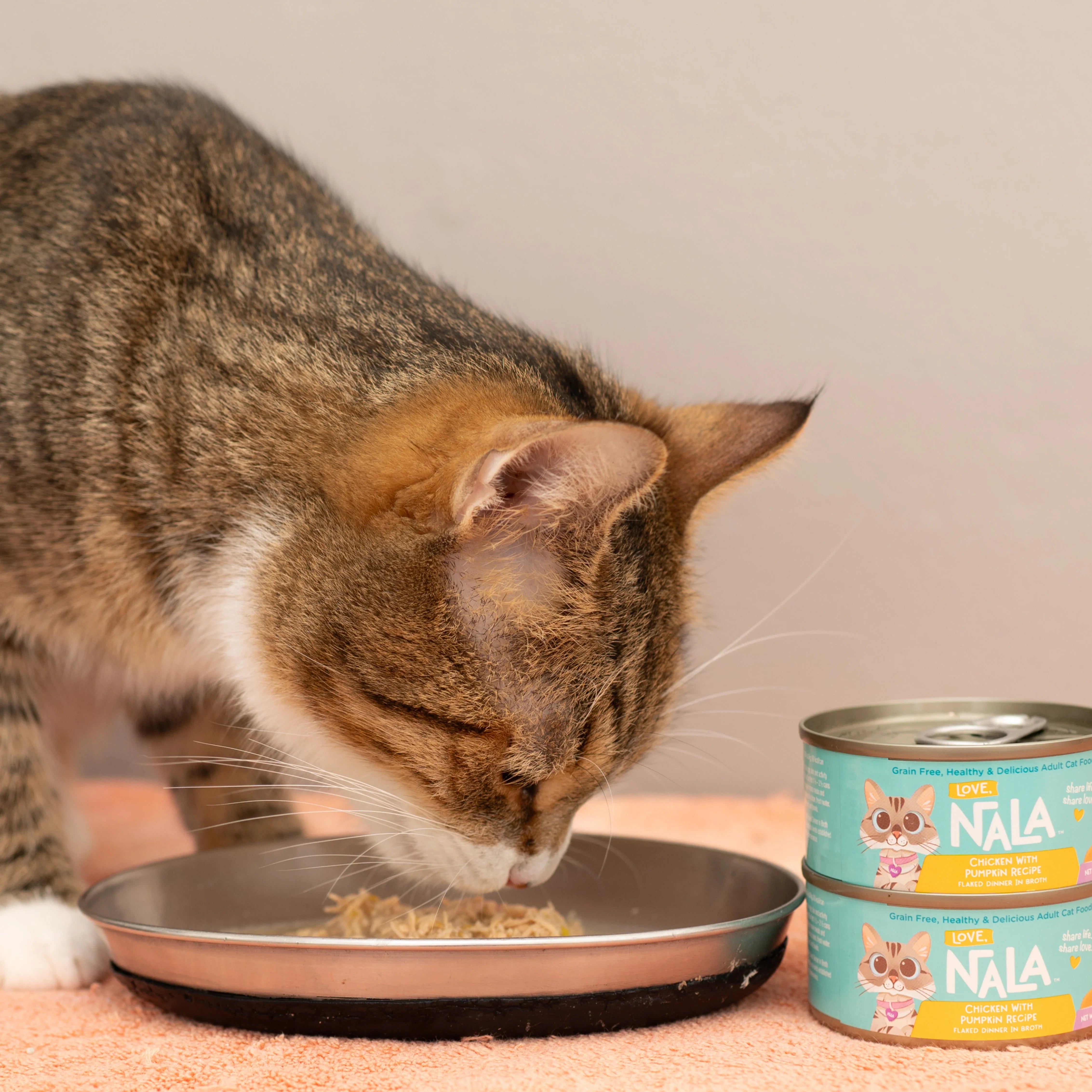 Chicken Flaked With Pumpkin Recipe Dinner In Broth Adult Cat Food, 2.8-oz