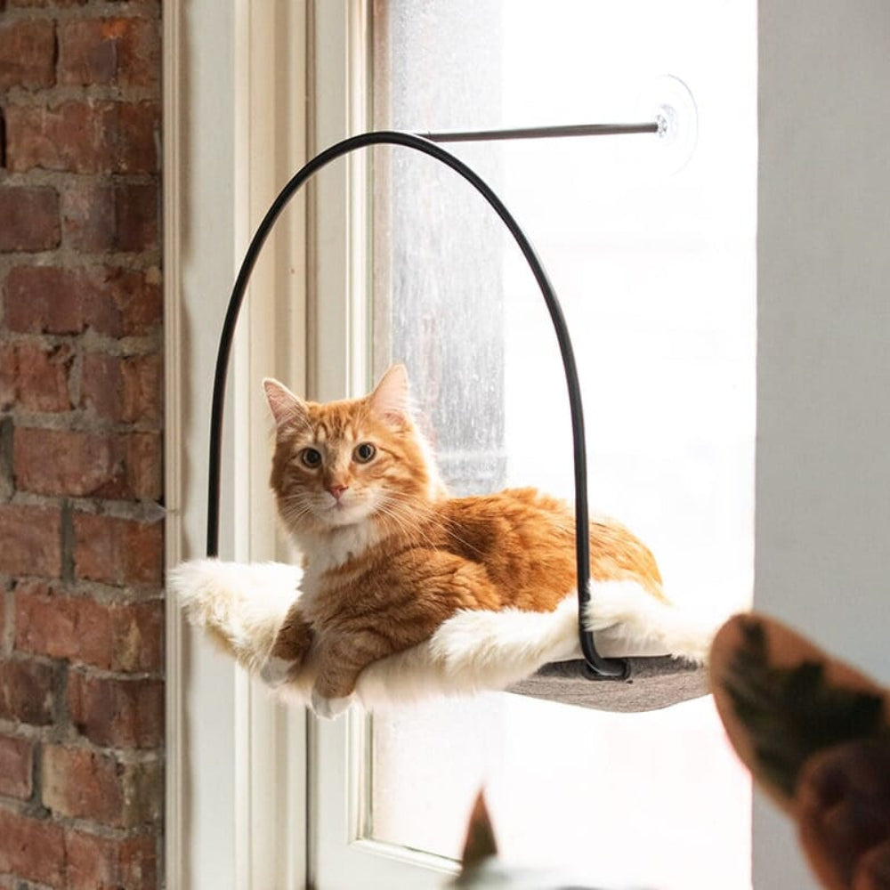 Cloud Nine Window Hammock